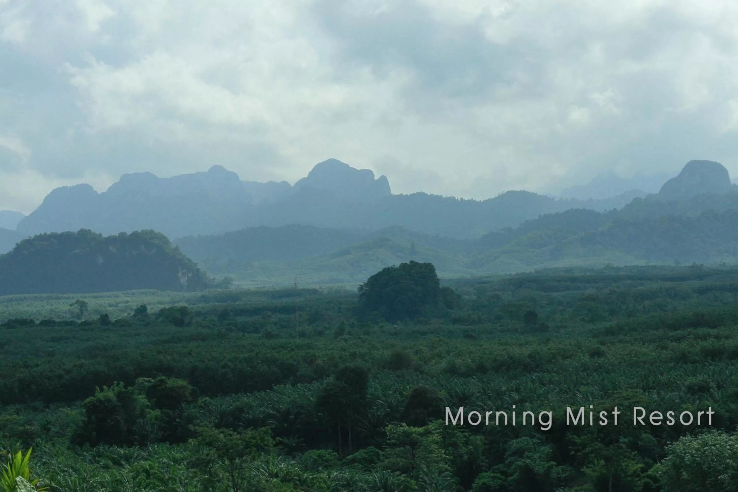 Nearby landmark in Khao Sok Morning Mist Resort