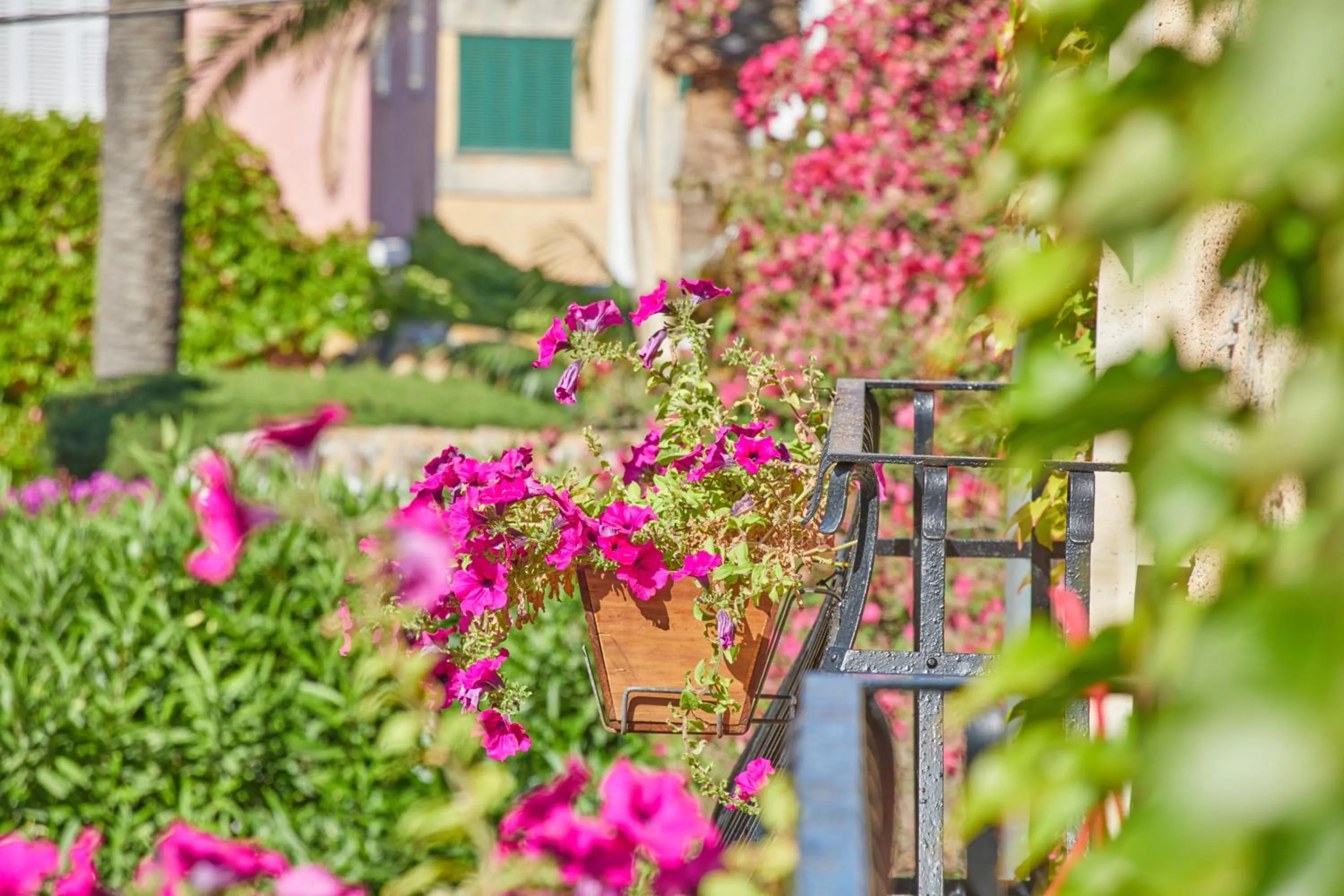 View (from property/room) in Petit Hotel Ses Rotges - Only Adults