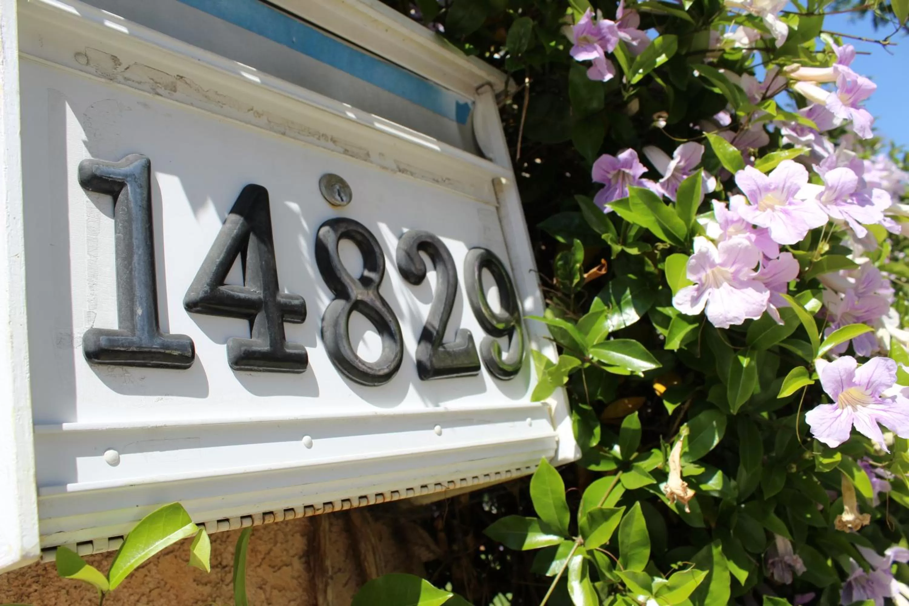 Property building in Sweet Dreams B&B LA