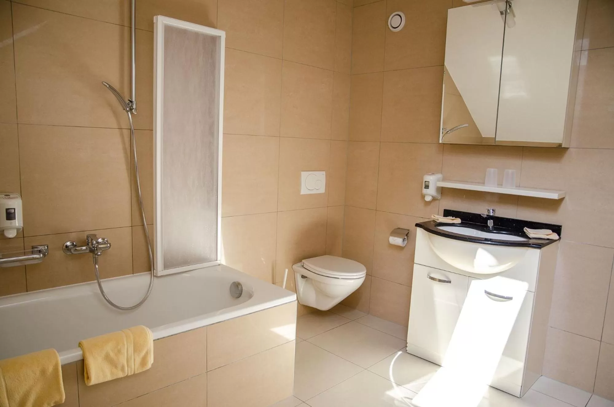 Toilet in Hotel du Faucon