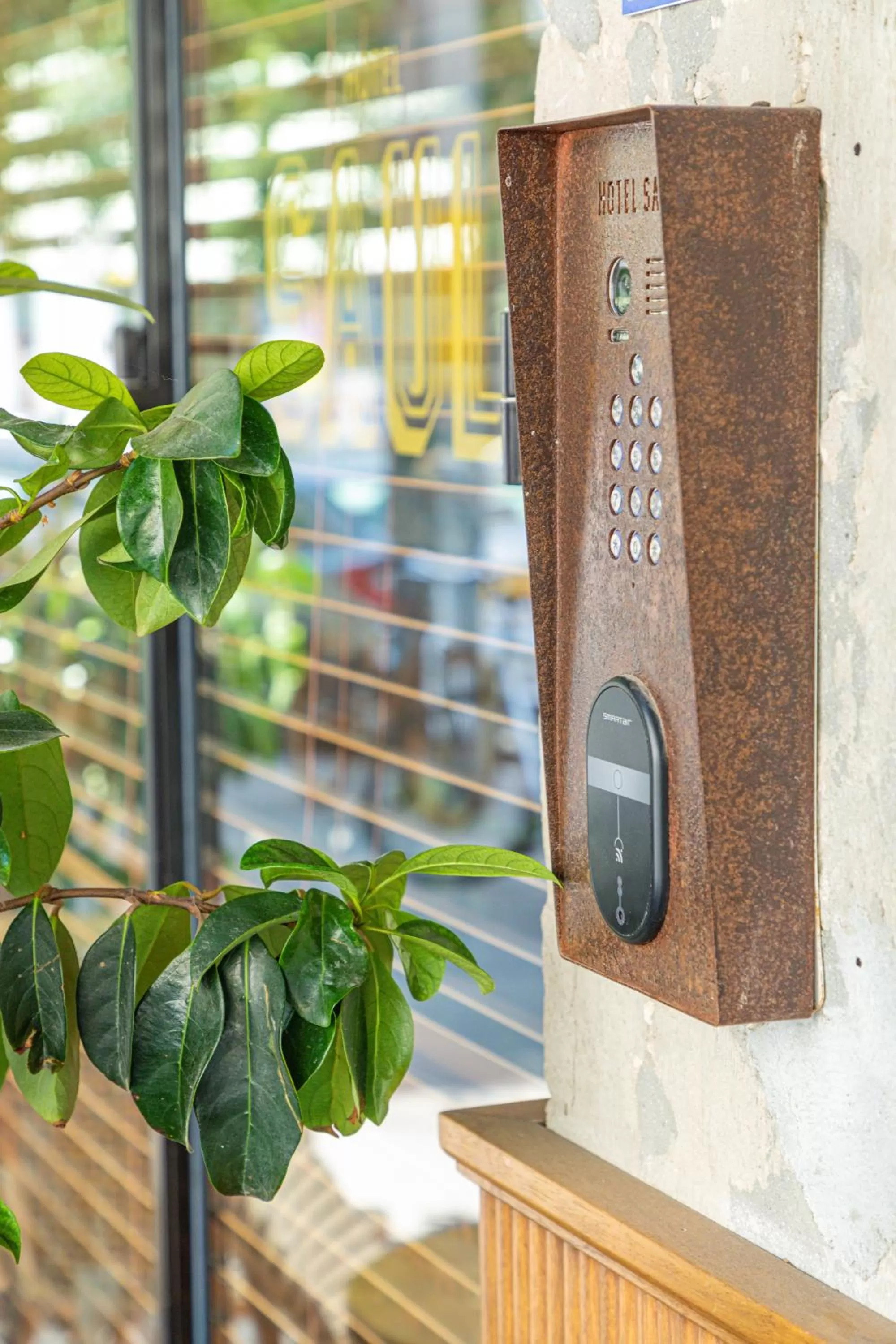 Decorative detail in The Saul