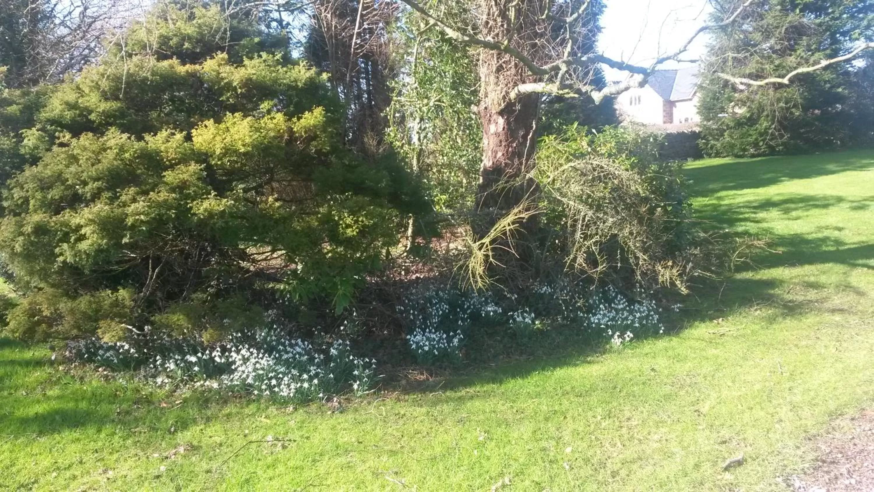 Garden view in Green Bank Farmhouse