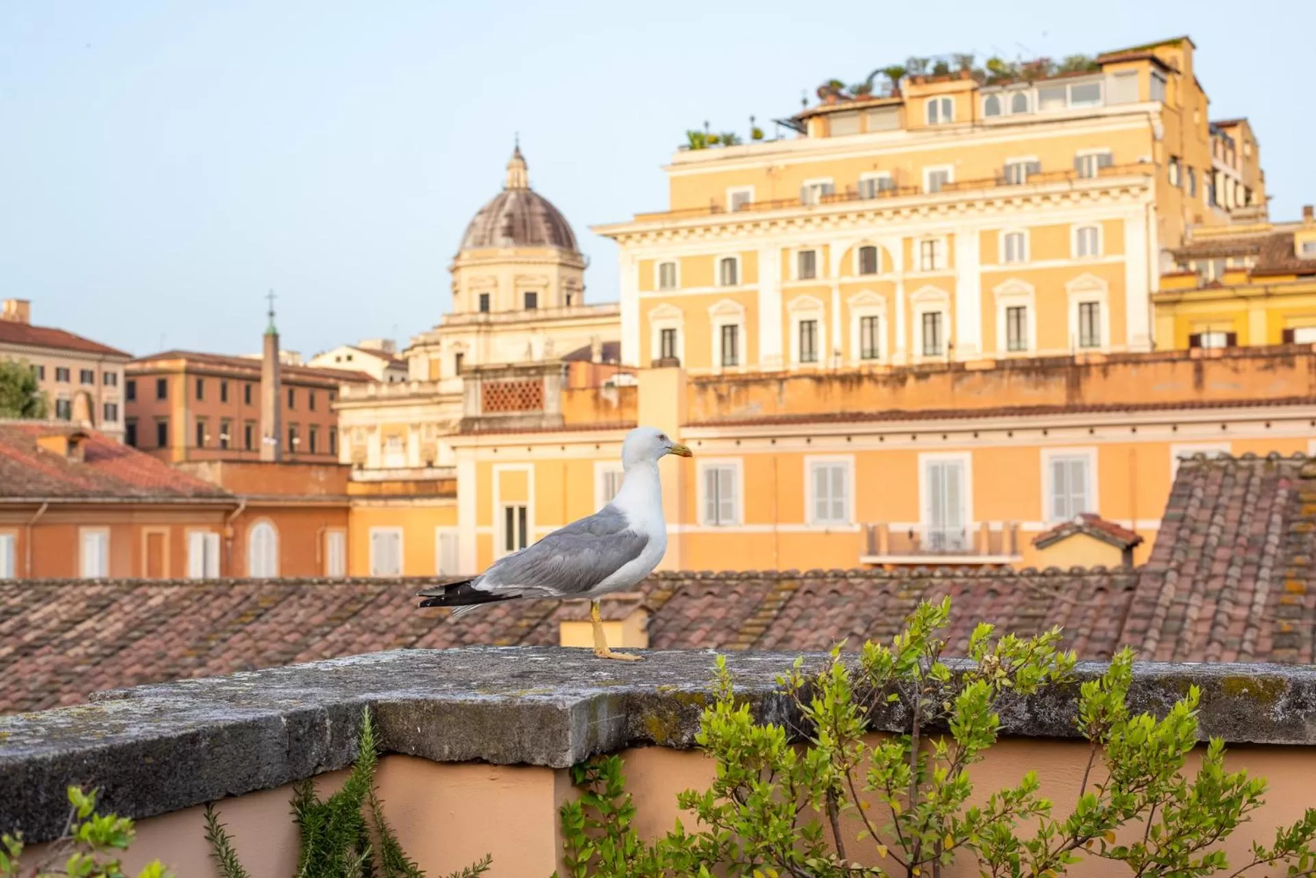 Balcony/Terrace in Sentho Roma