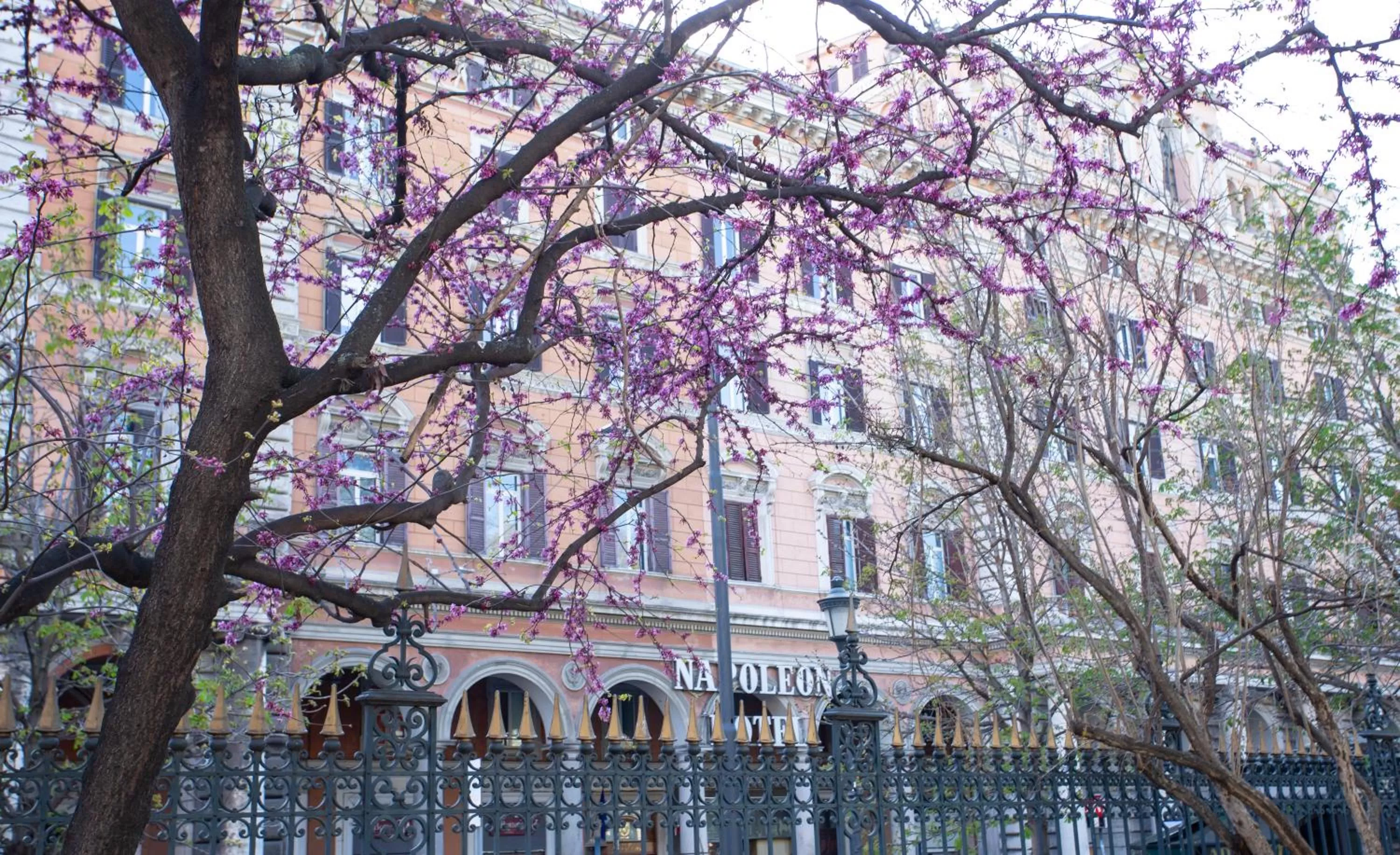 Property building in Hotel Napoleon