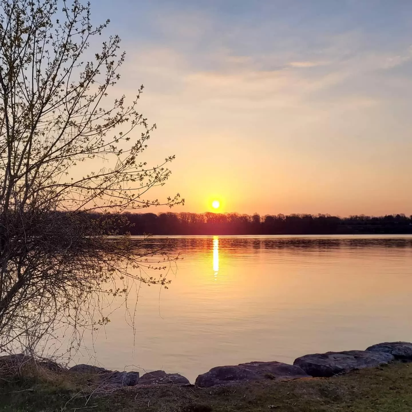 Sunrise, Sunrise/Sunset in La Maison de Sophie