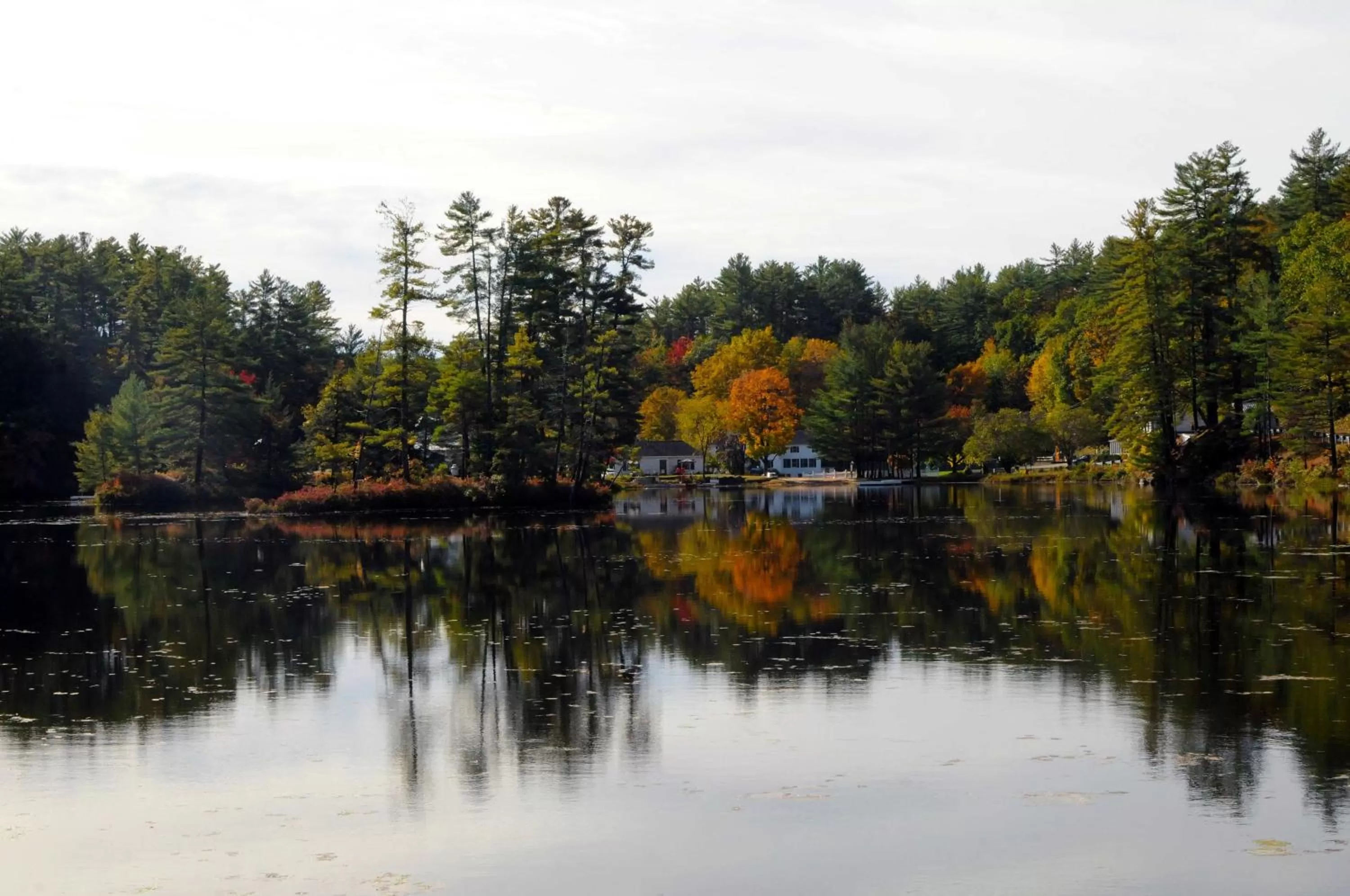 Day in Purity Spring Resort