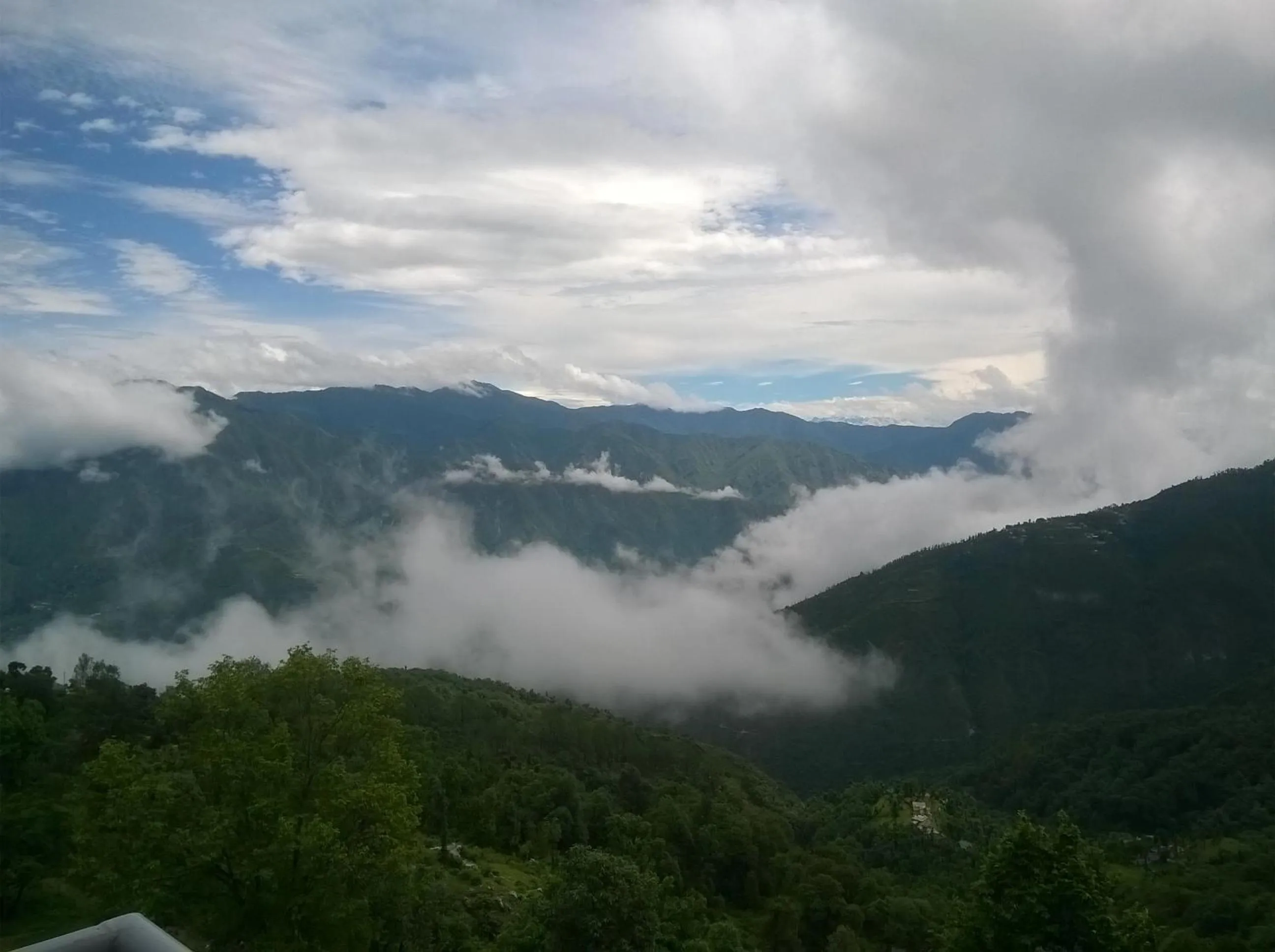 Natural landscape in The Mountain Quail