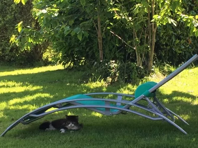 Garden in Maison de Kersalomon