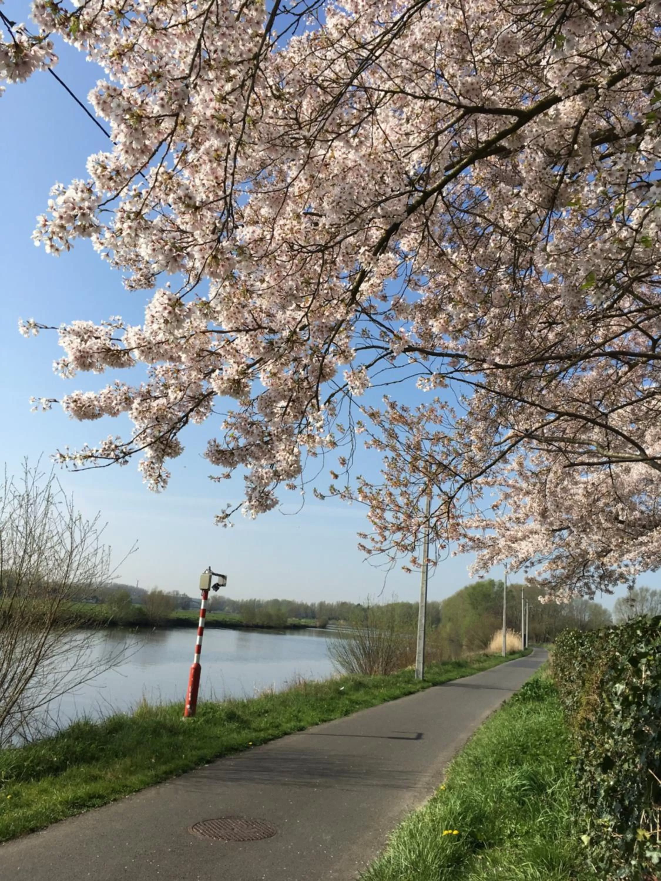 Spring in B&B The View Bis