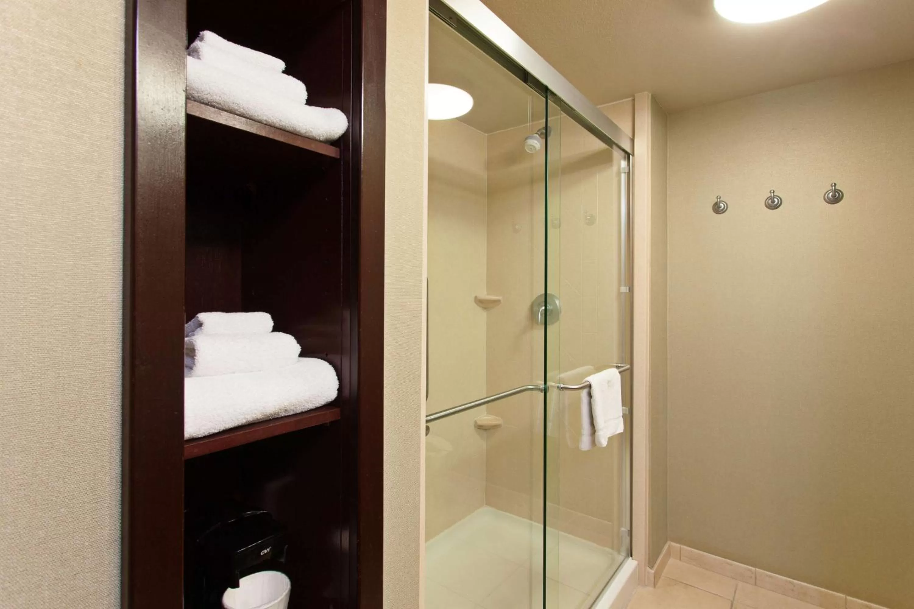 Bathroom in Hampton Inn and Suites Merced