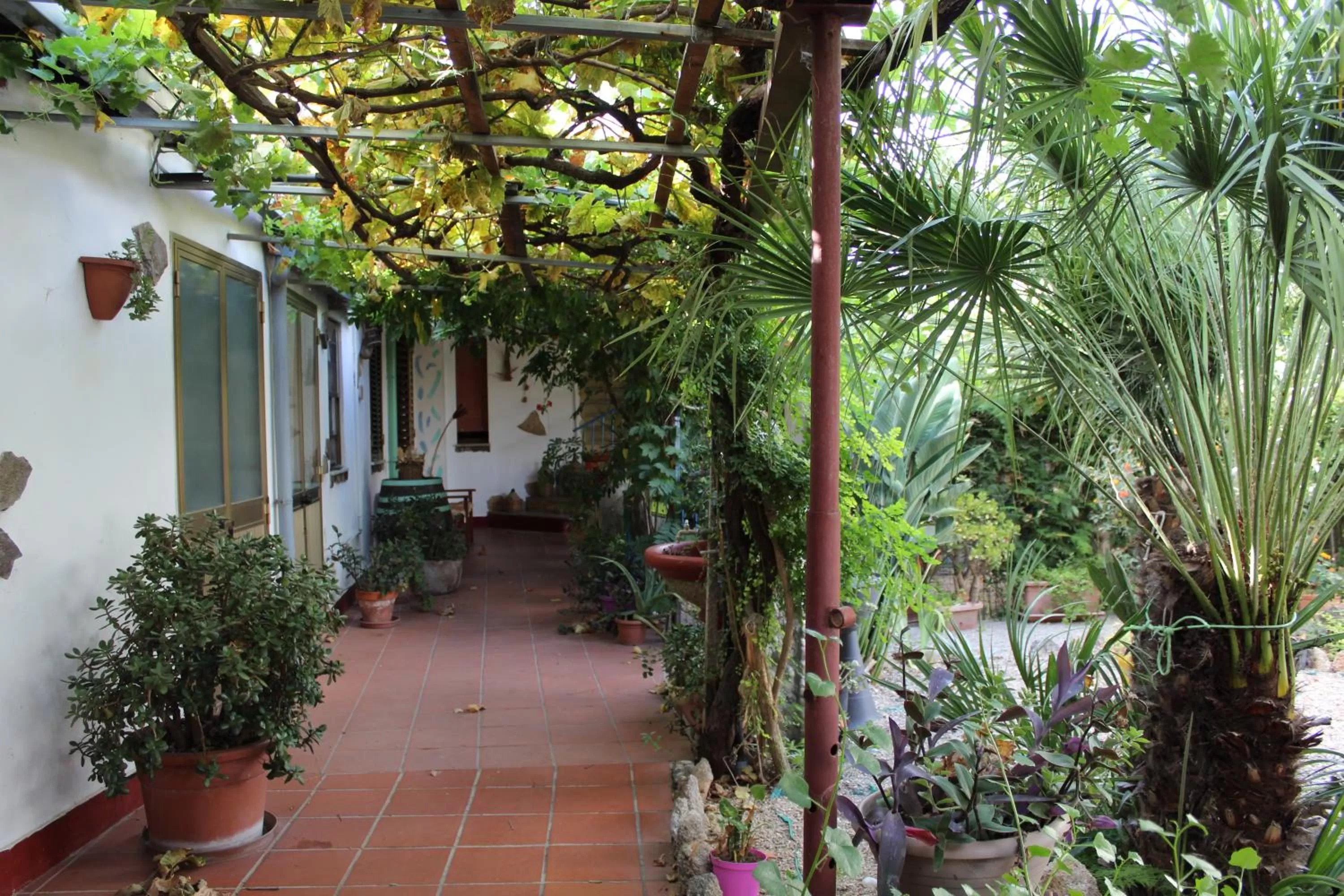 Garden in Bed & Breakfast Paui