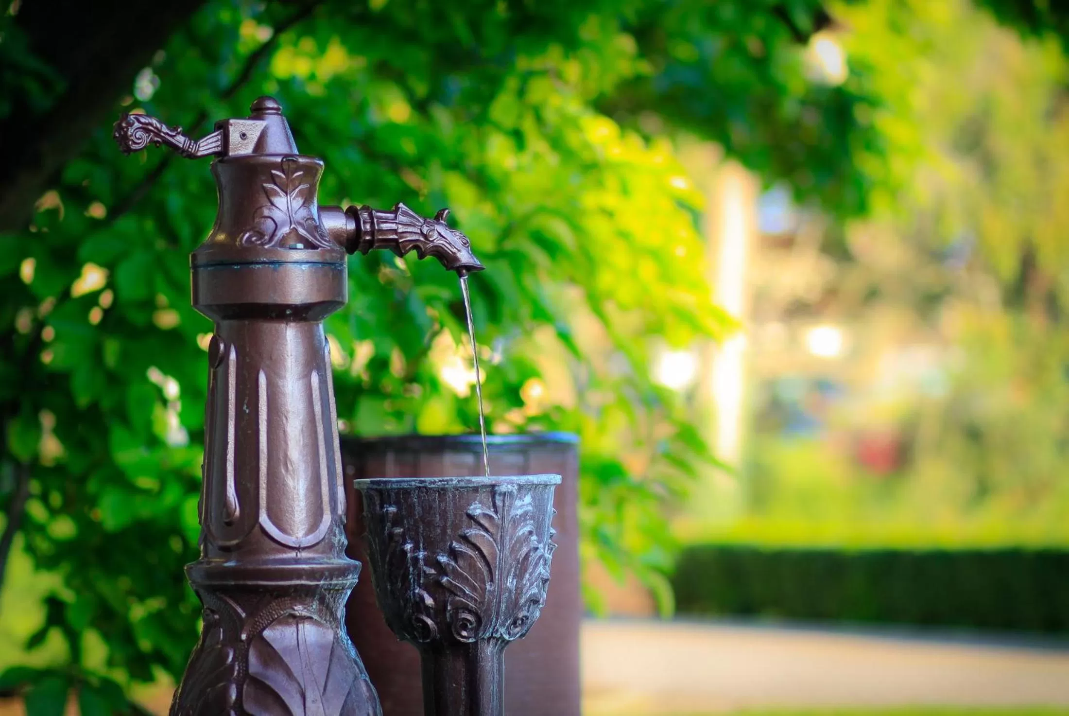 Day in Ensana Splendid