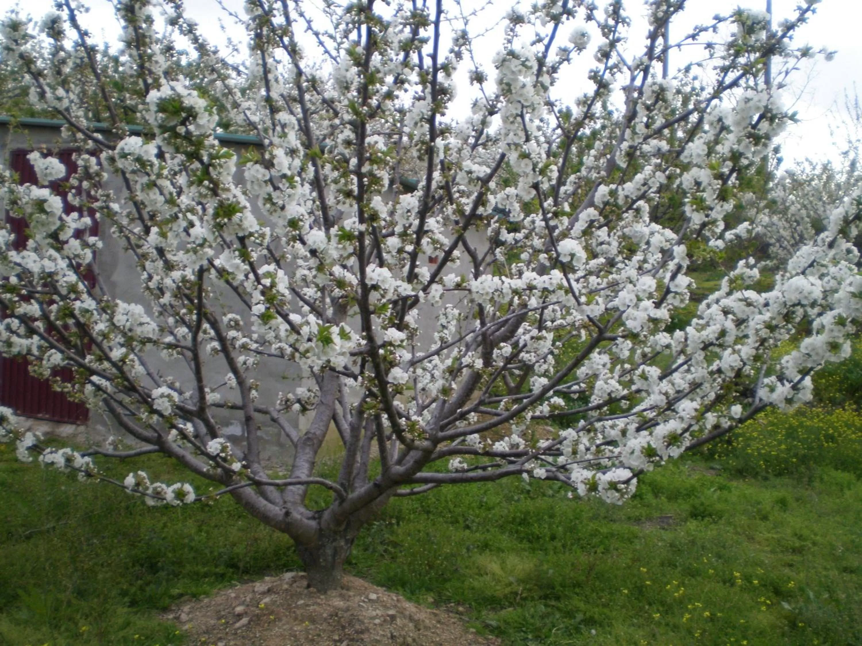 Area and facilities in Hotel Rural Xerete