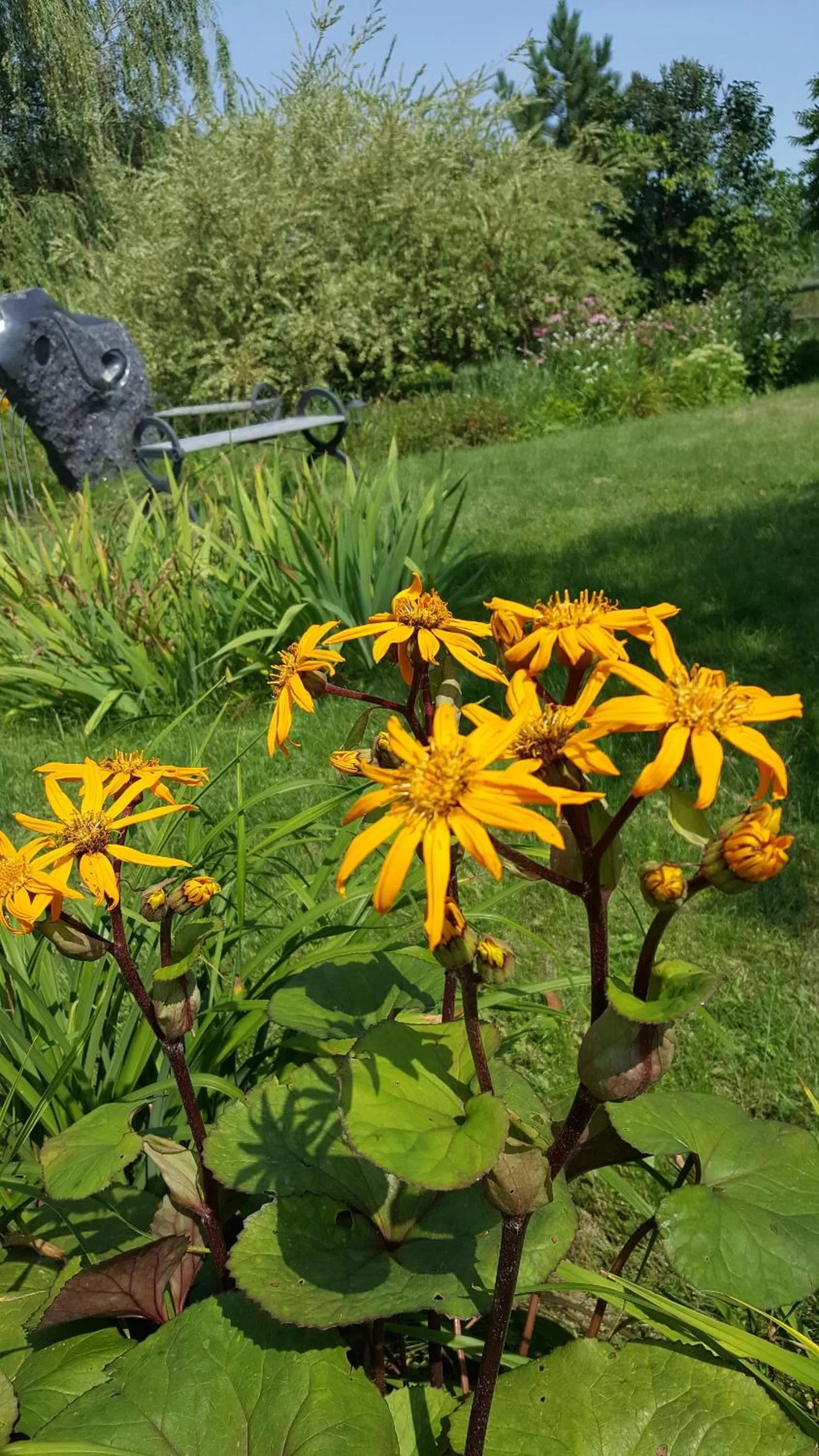 Garden in Atelier Galerie Anne Drouin Peinture & Pension