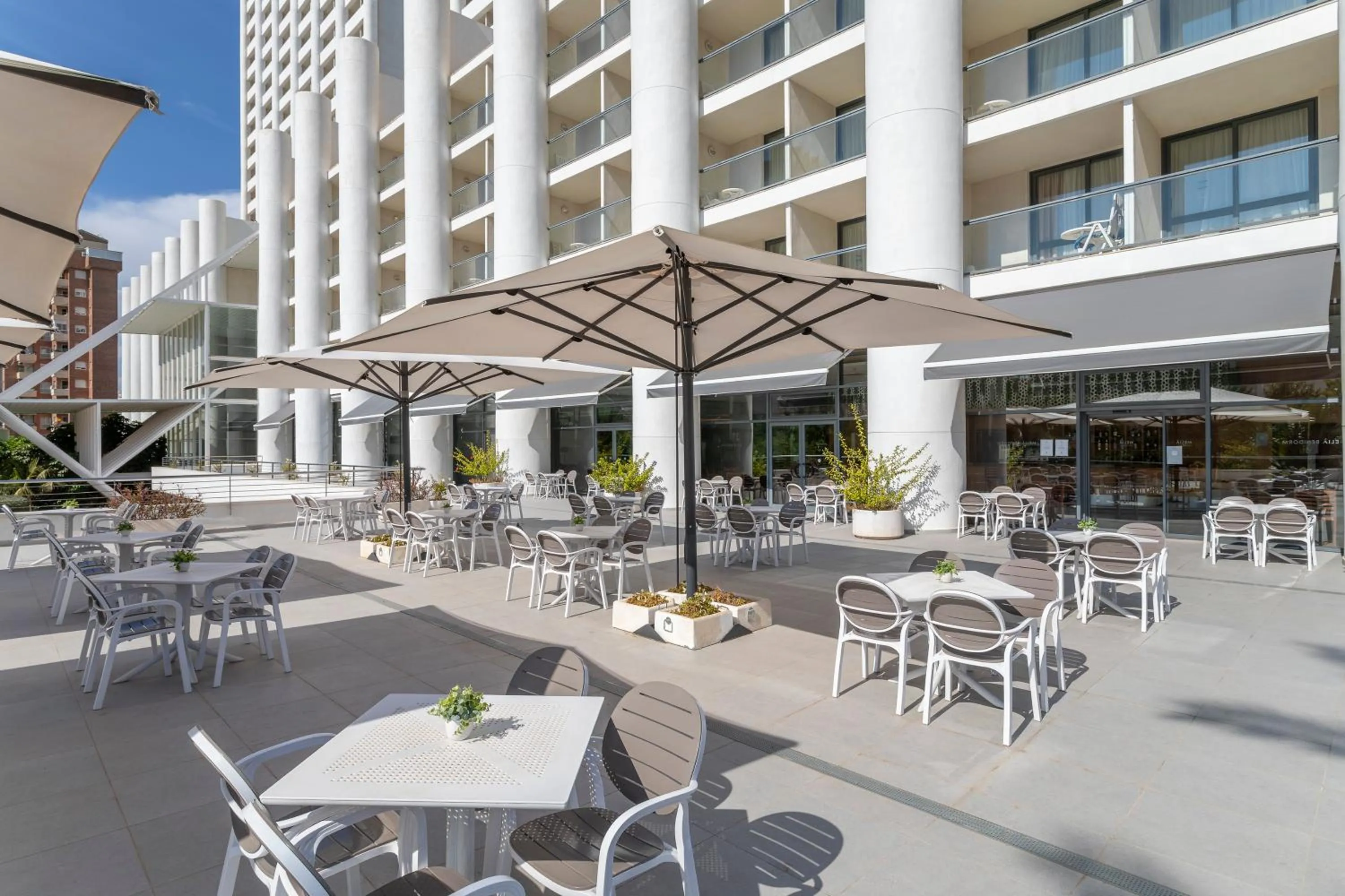 Restaurant/places to eat in Melia Benidorm
