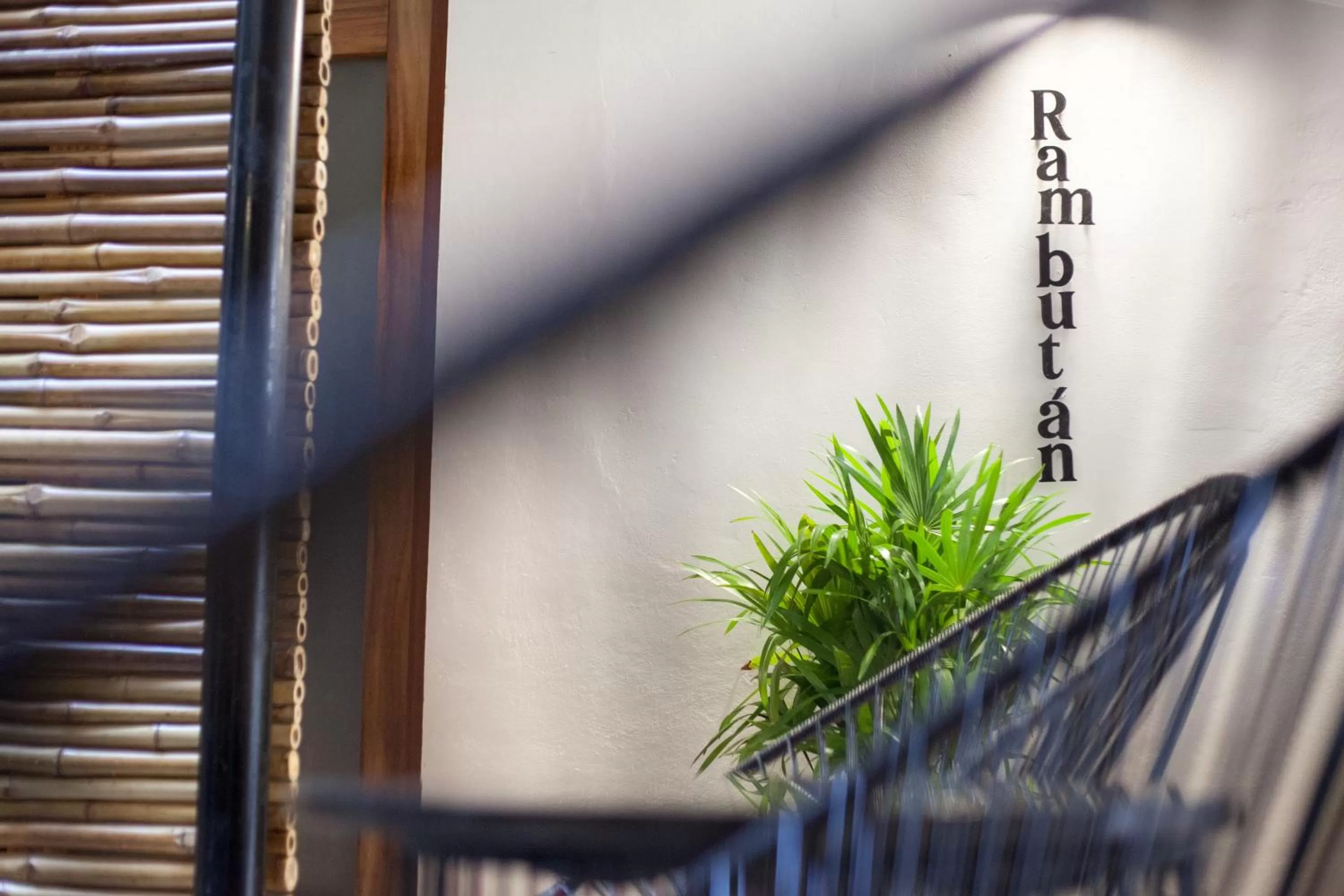 Area and facilities in Latino Hotel Boutique