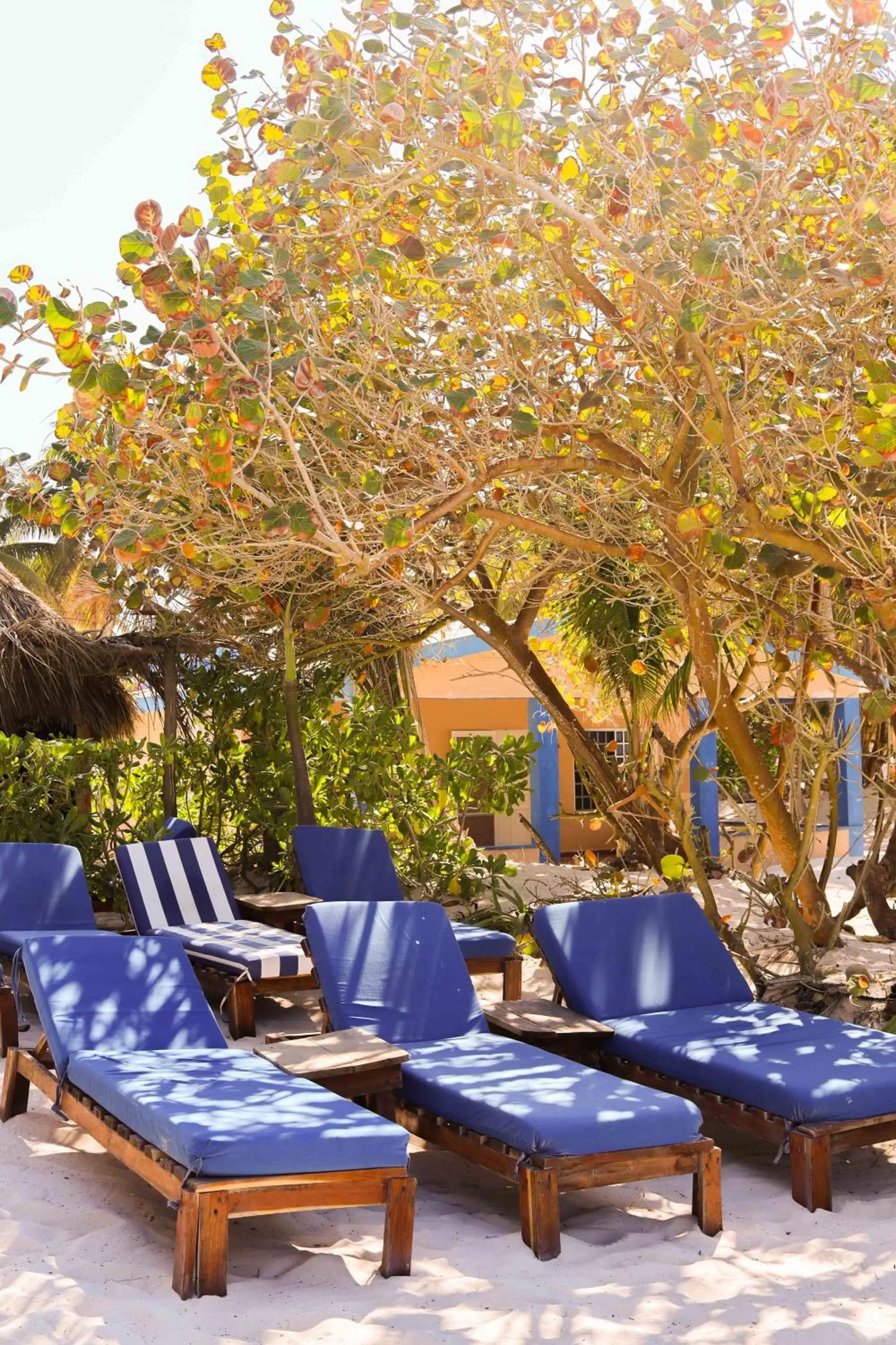 Casa Mate BeachFront Cabañas El Cuyo