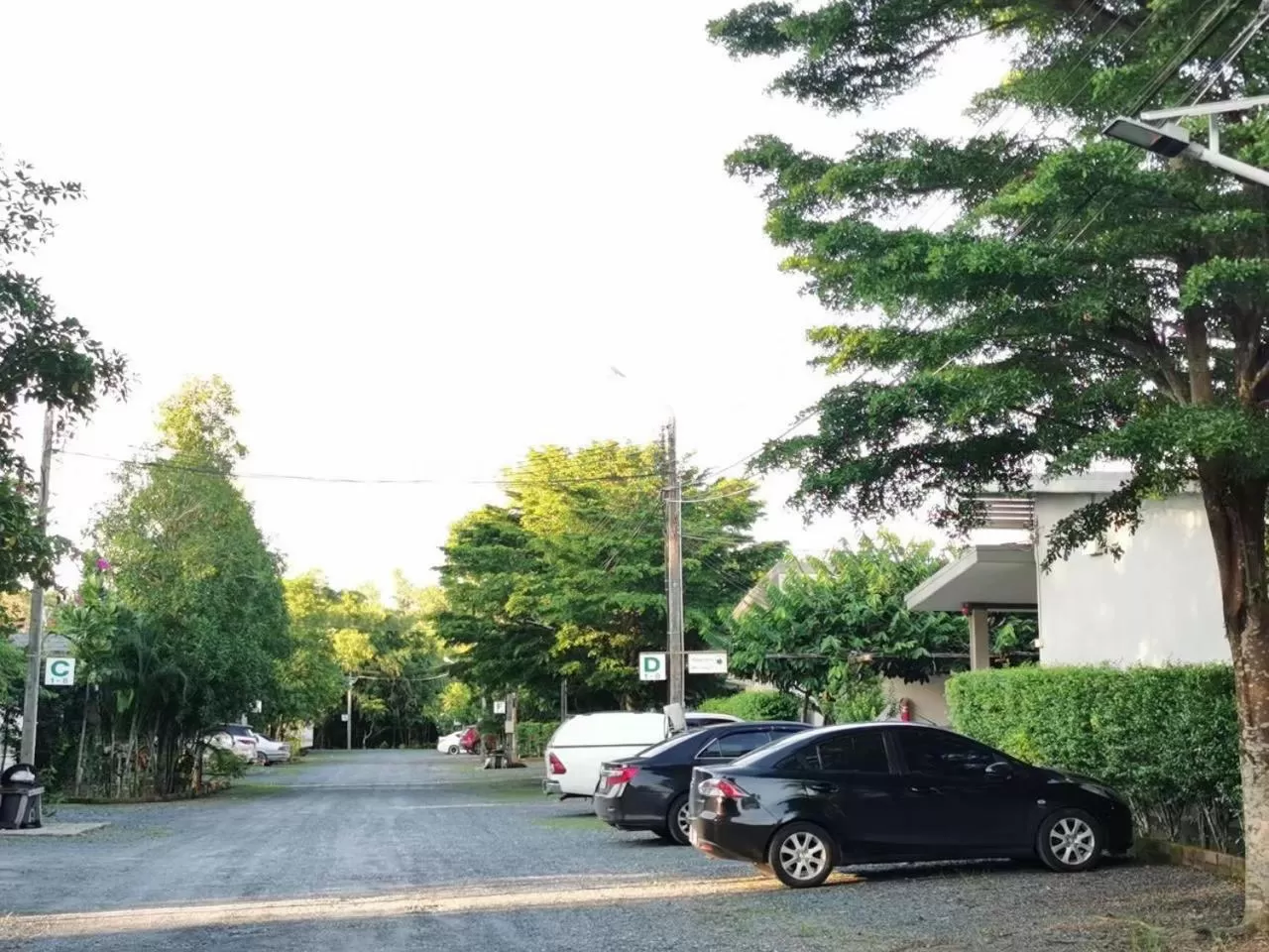 แกรนด์ ฟอเรสท์ Grand Forest