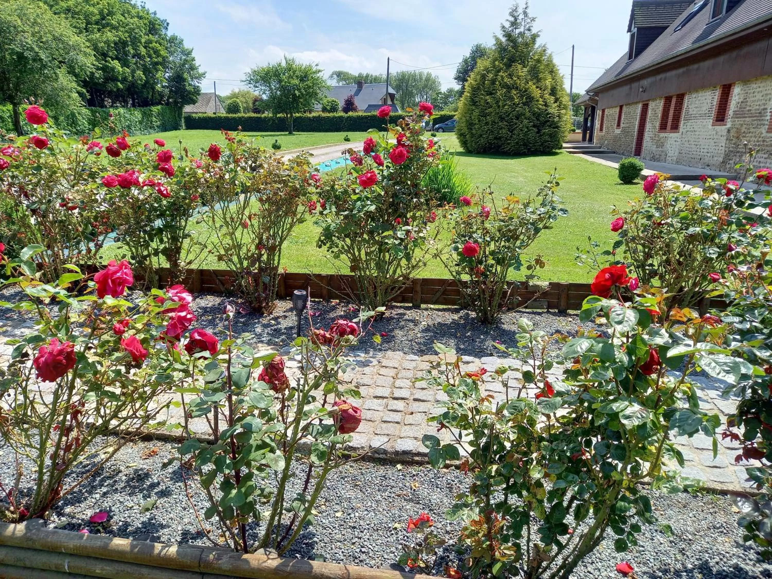 Garden in chambres et gites d'étretat