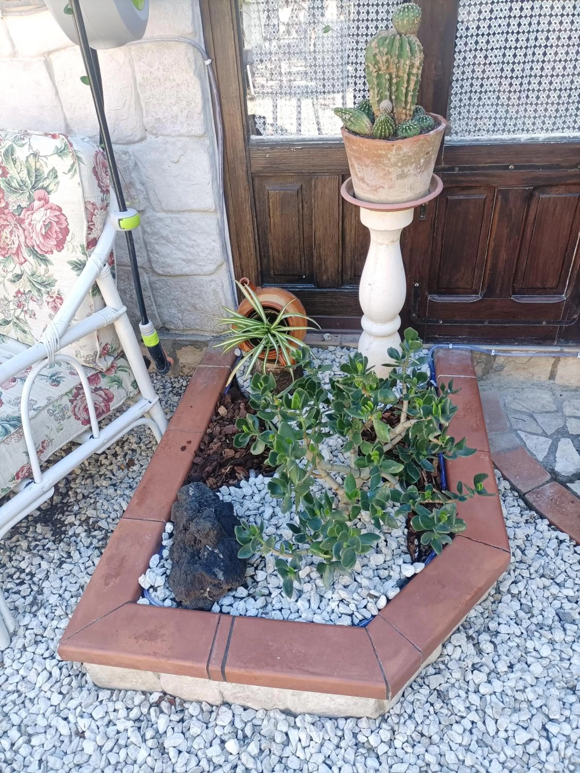 Garden in La Casa In Pietra