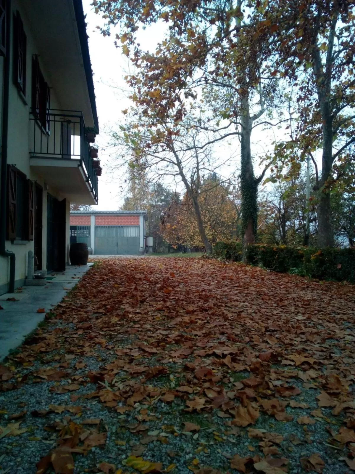 Floor plan, Property Building in Cascina Torello