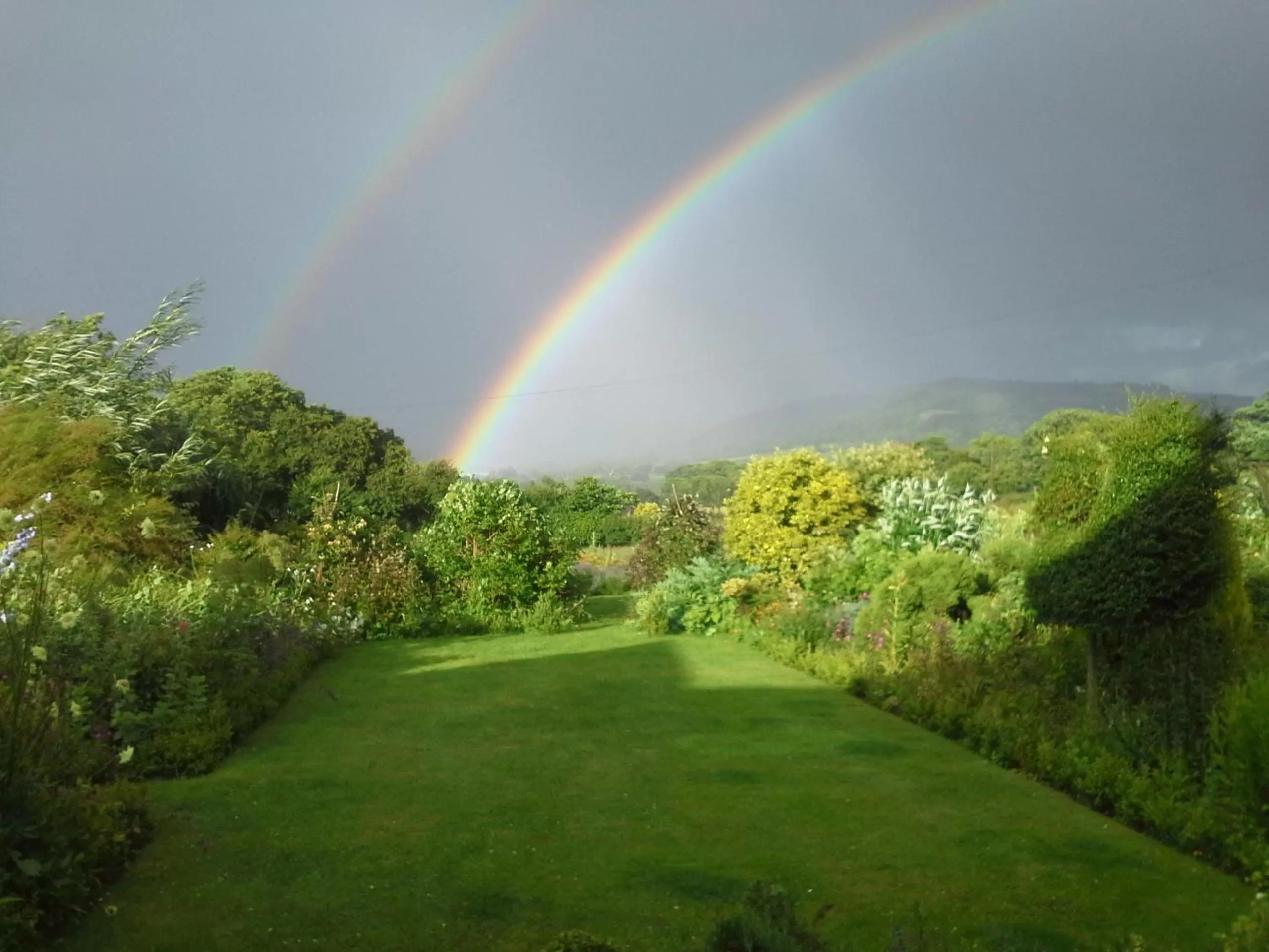 Garden view in The Smithy