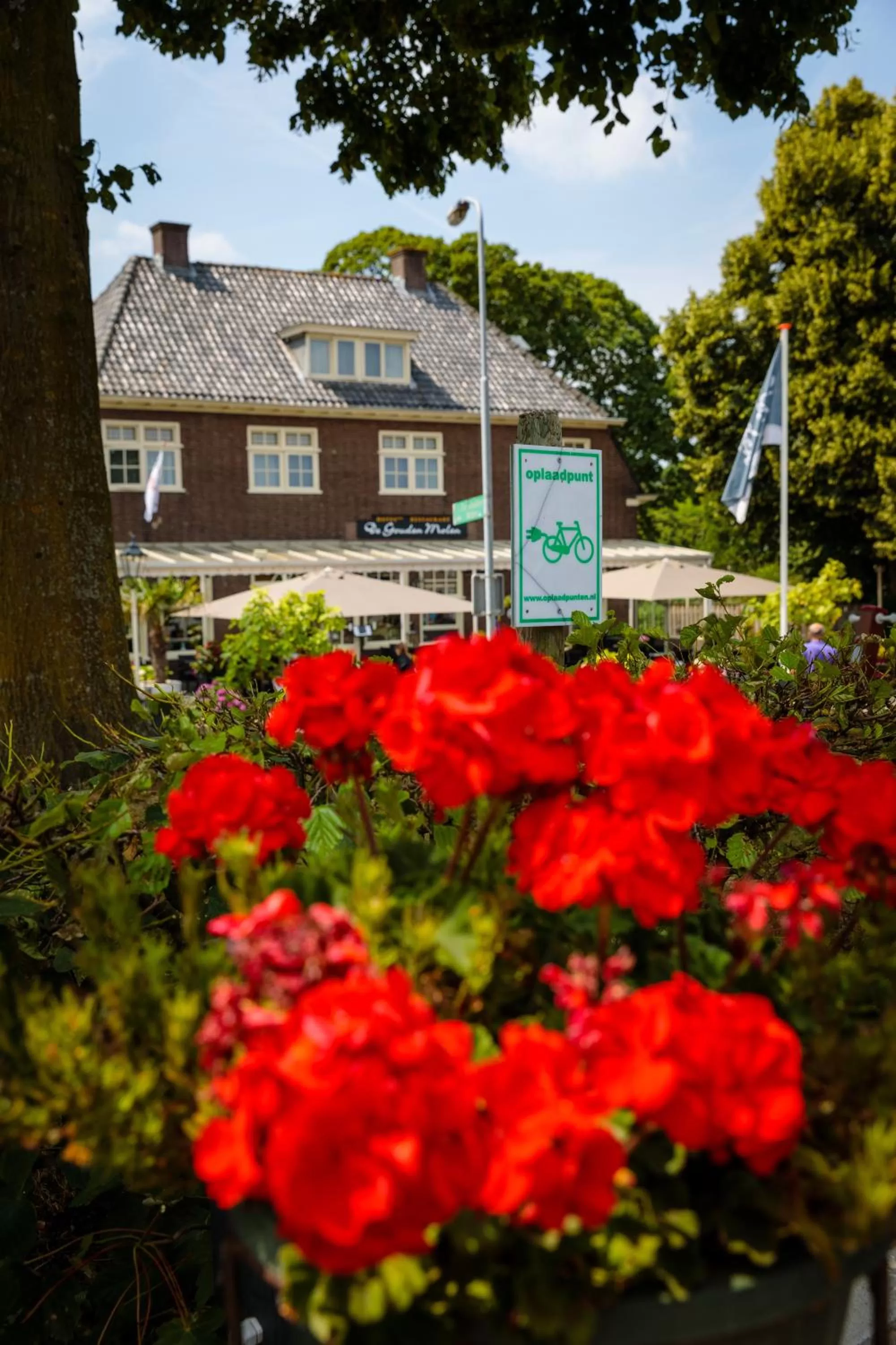 Restaurant/places to eat, Property Building in De Gouden Molen