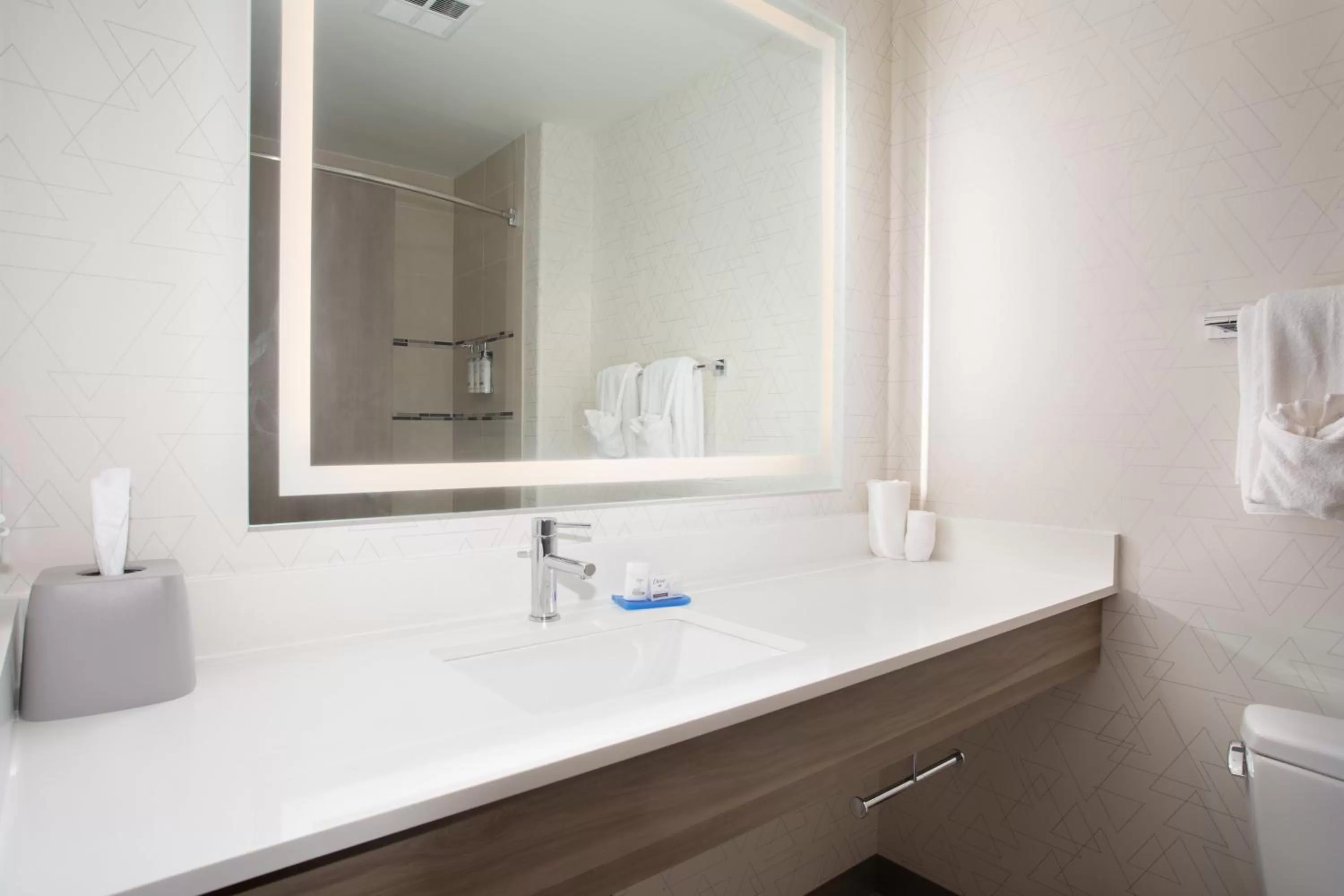 Bathroom in Holiday Inn Express Hotel & Suites Grand Junction by IHG