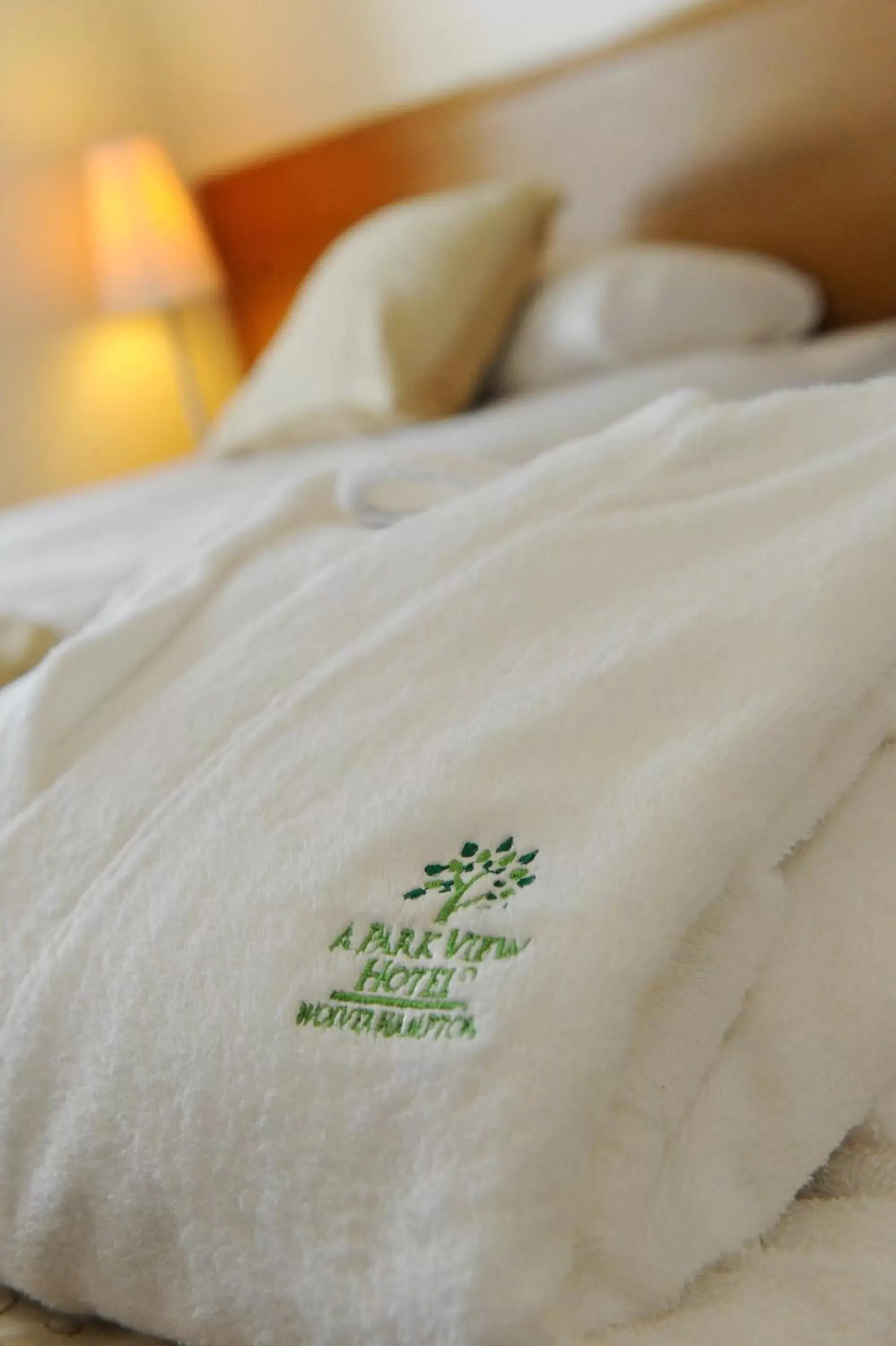 Executive King Room in A Park View Hotel Executive King Room in A Park View Hotel