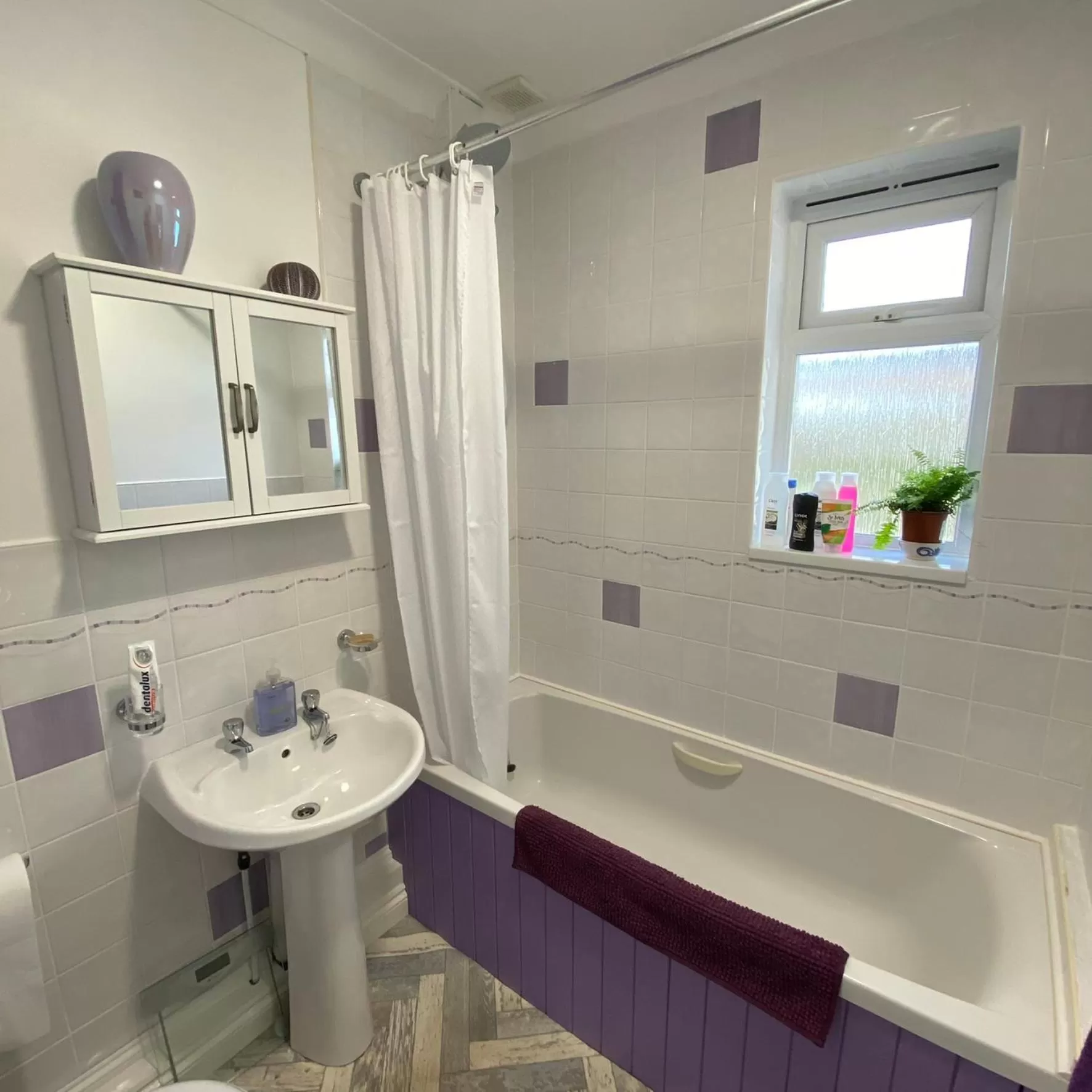 Toilet, Bathroom in Agapanthus Bed & Breakfast - Fraddam
