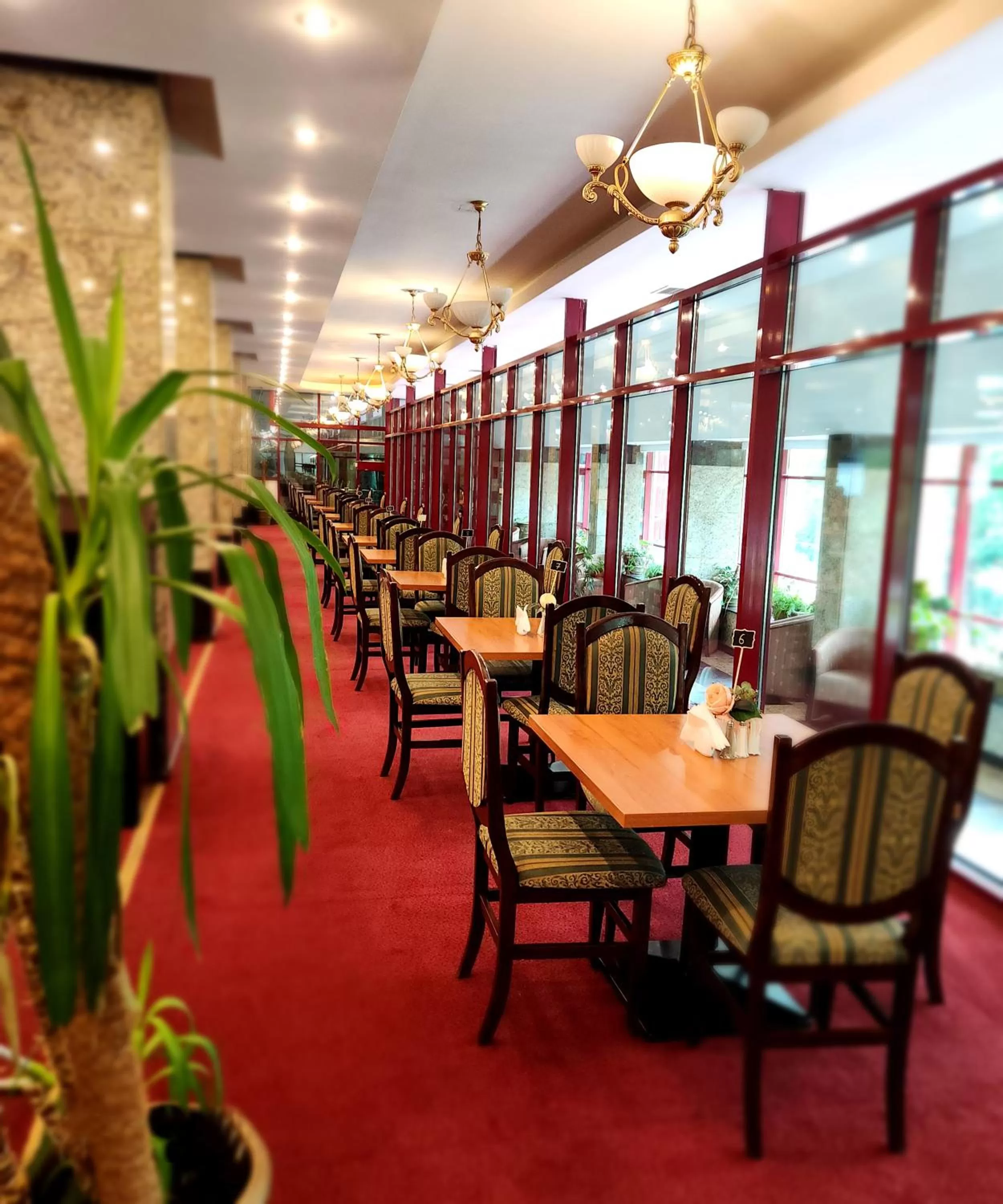 Restaurant/places to eat in Hotel Piatra Mare