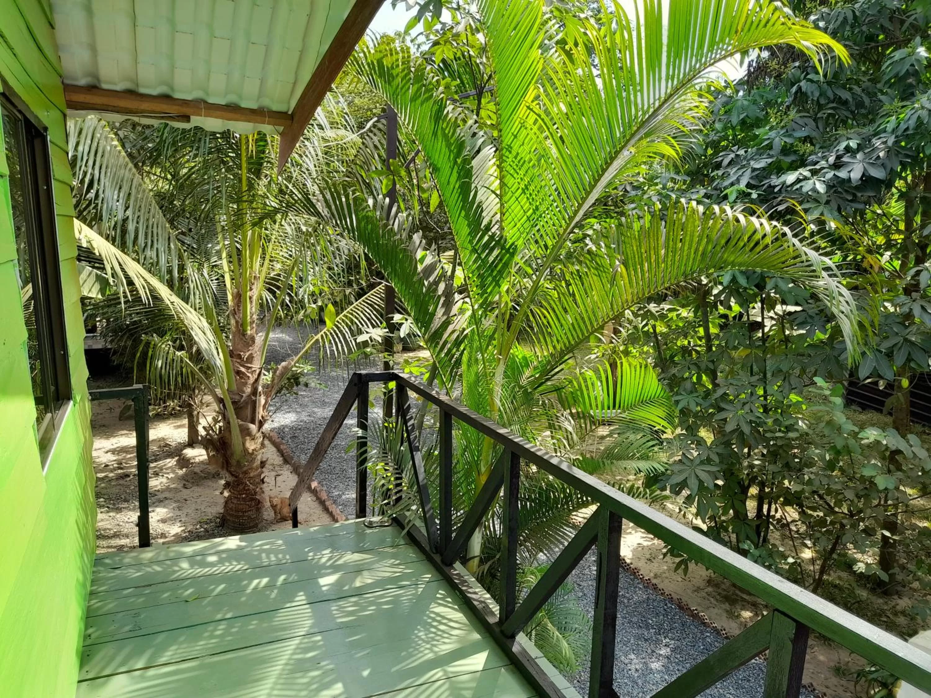 Garden view in Green Mango Bungalows
