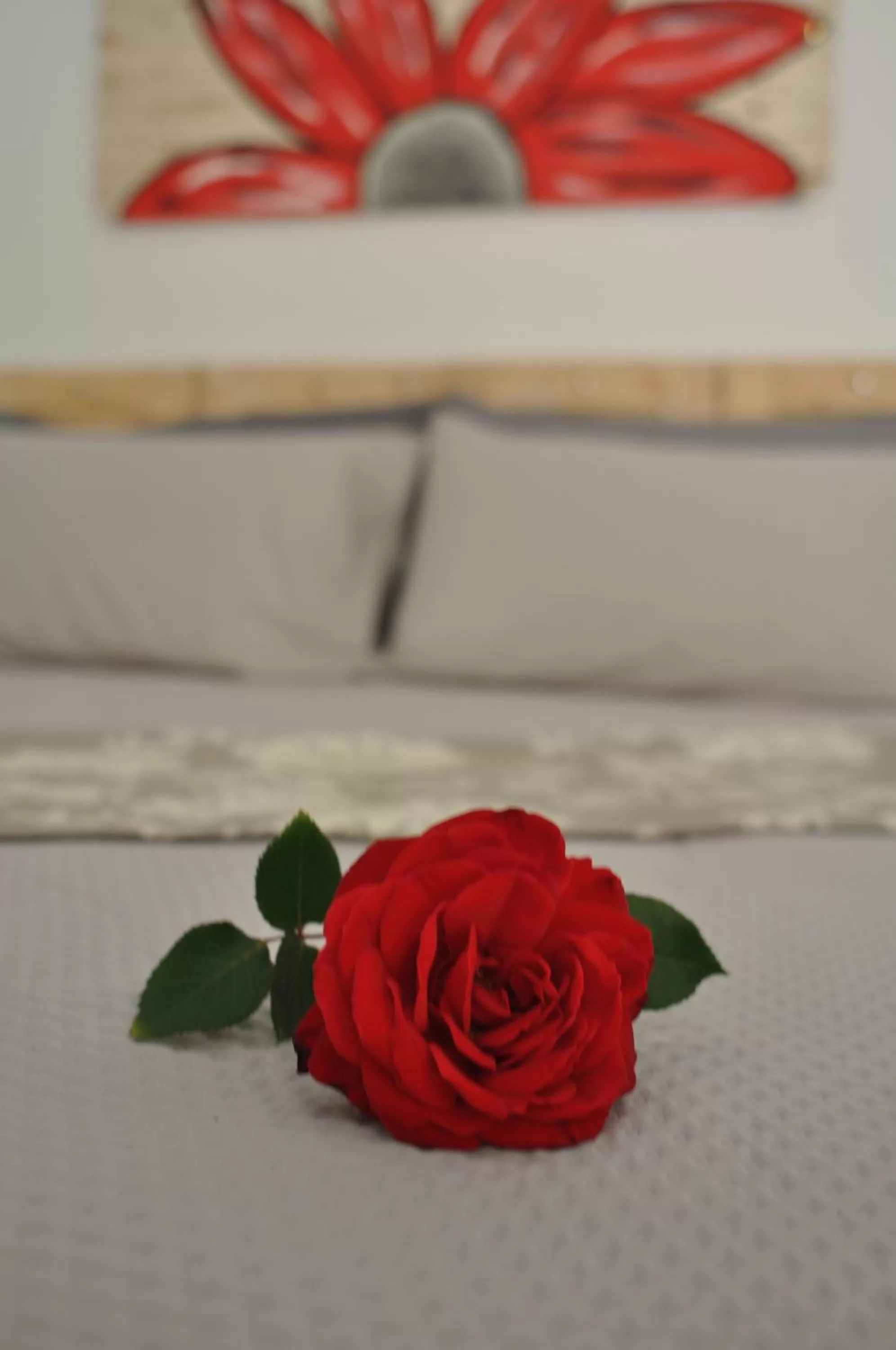 Other in B&B Les Chambres Rooms & Suite