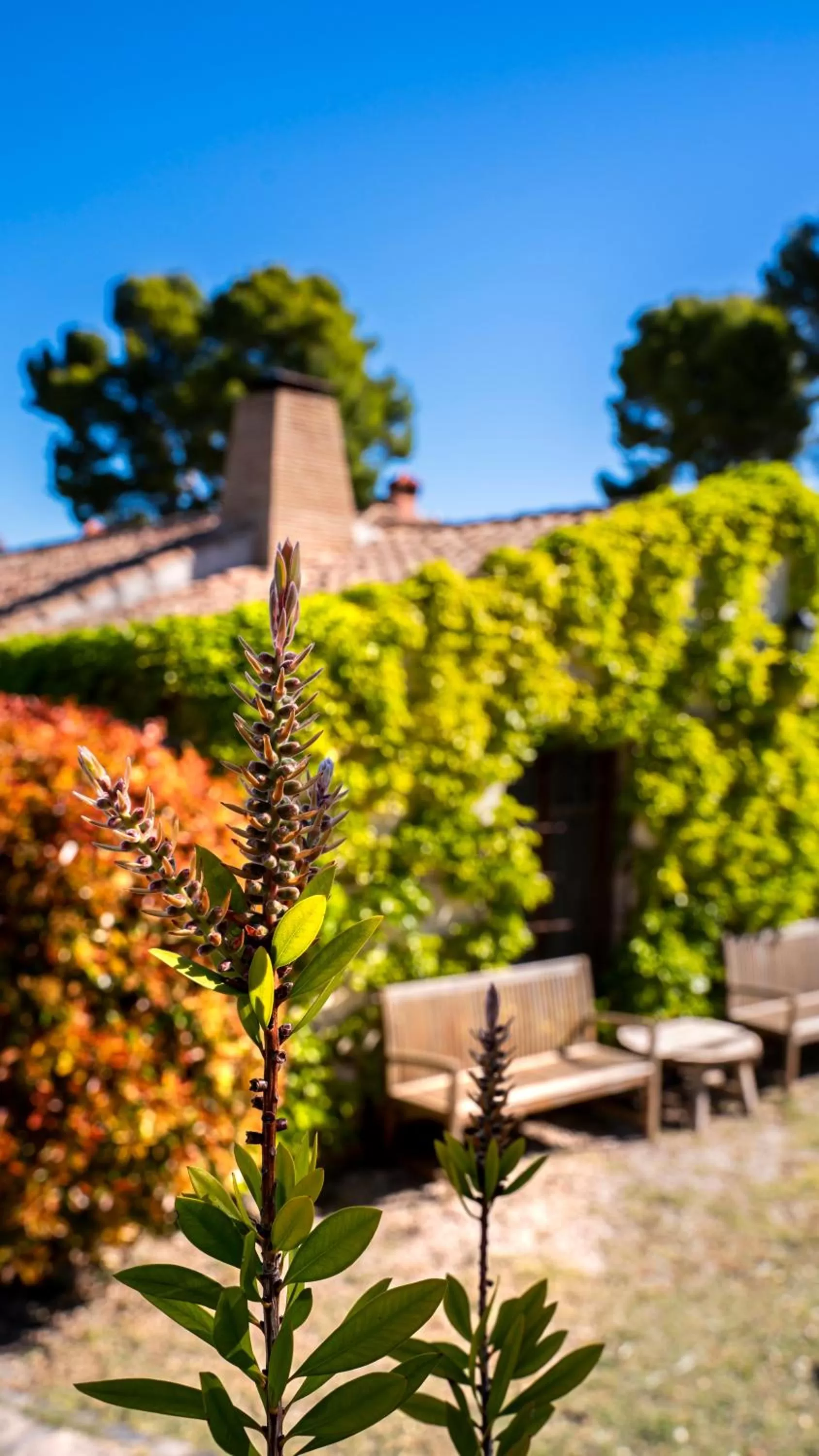 Eco Hotel con encanto Masía la Mota B&B