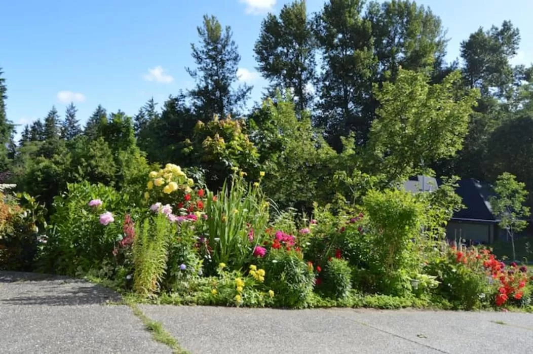 Garden view, Garden in Jane's private rooms with shared washroom