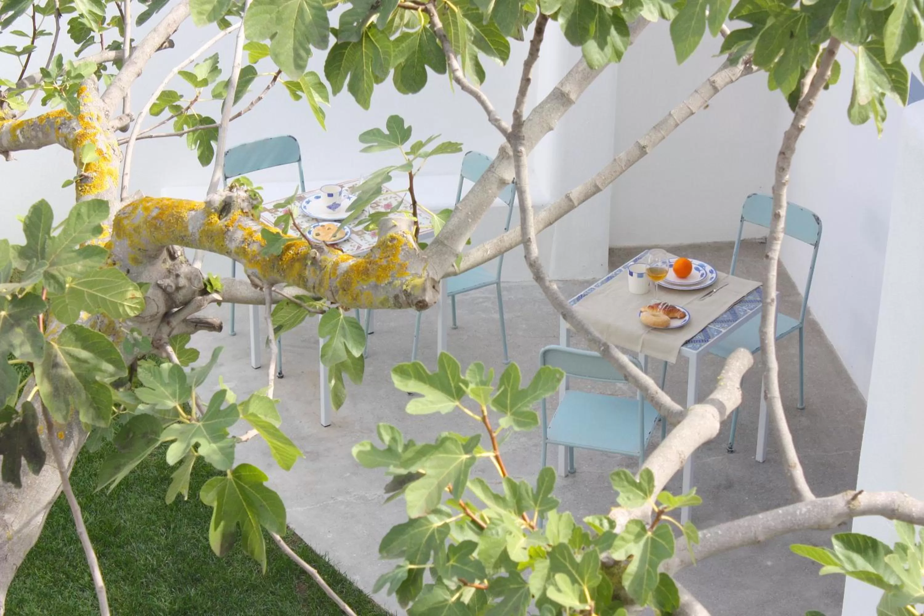 Patio in Hotel Intorno Al Fico