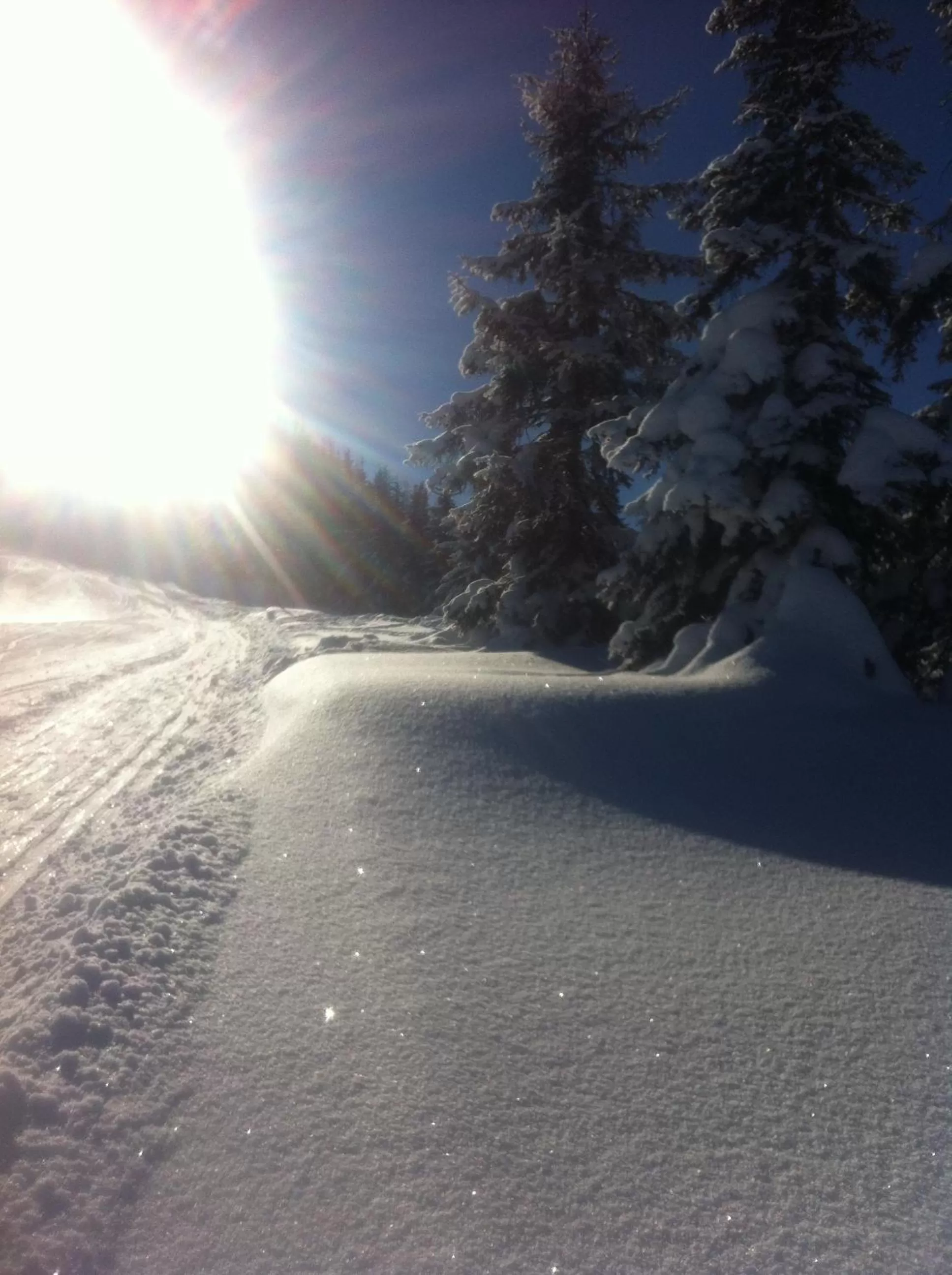 Property building in Gästehaus Lackner