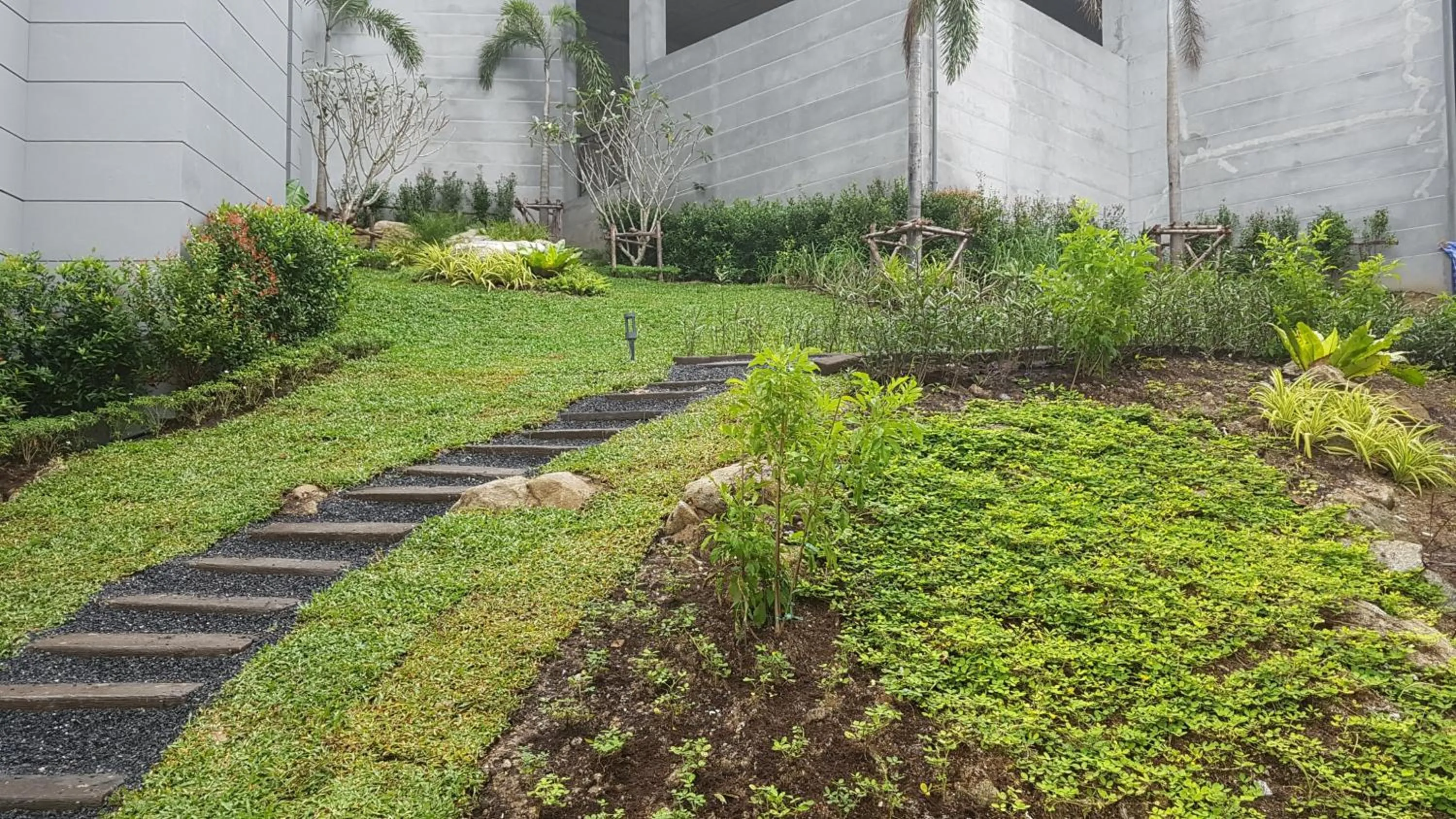 Garden in Lets Phuket Twin Sands Resort & Spa-SHA Extra Plus