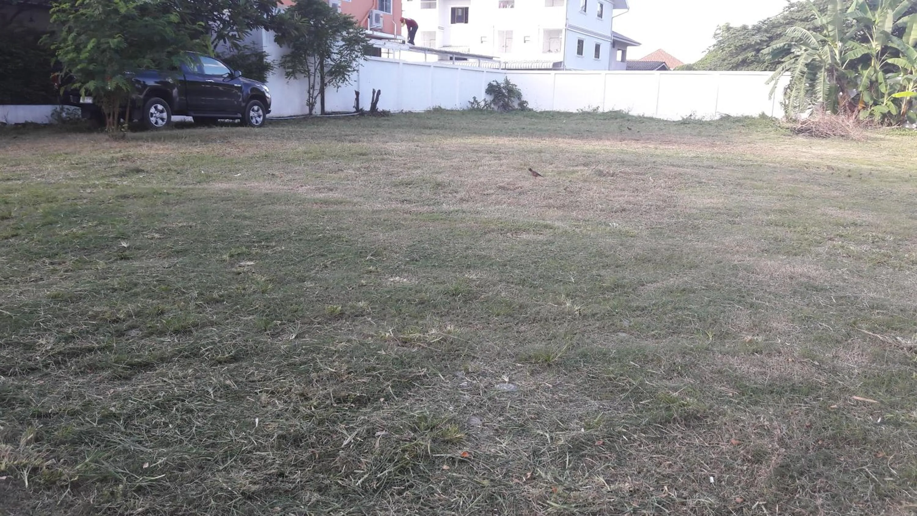 Garden in Jasmine Chiangmai Boutique Hotel