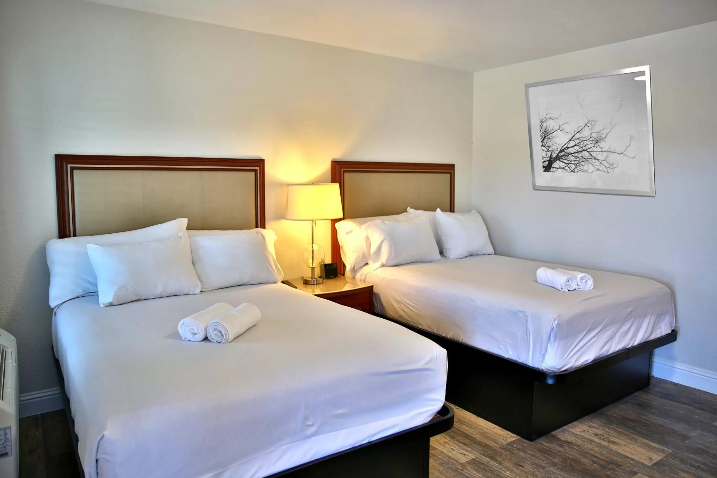 Photo of the whole room, Bed in Travelodge by Wyndham Crescent City