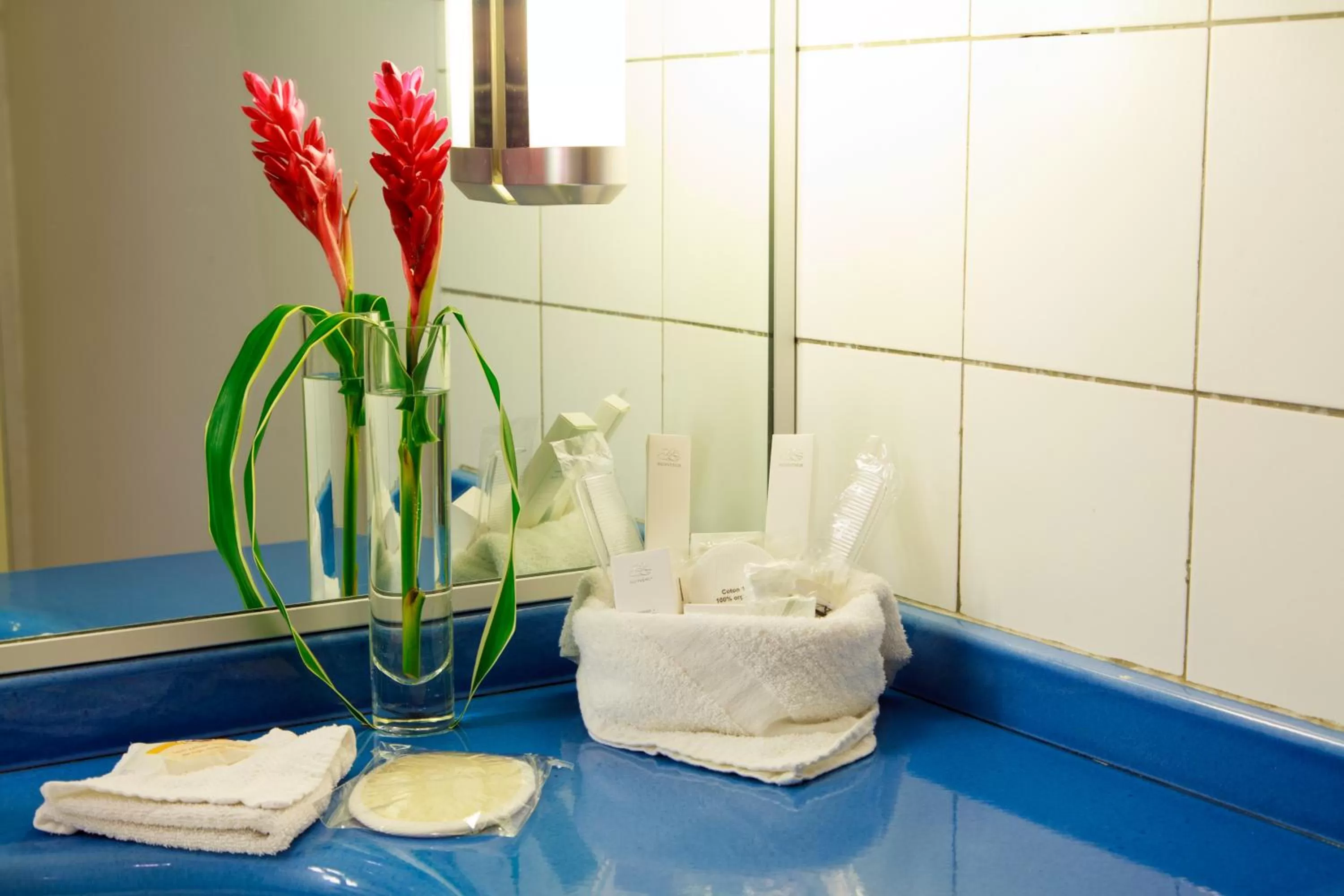 Other in Hotel Bakoua Martinique