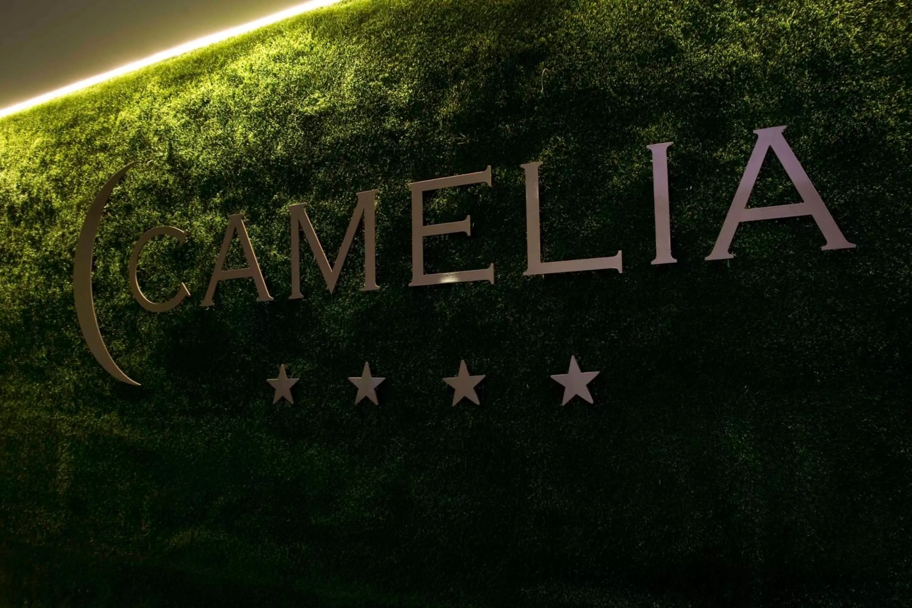 Other in Hotel Camelia