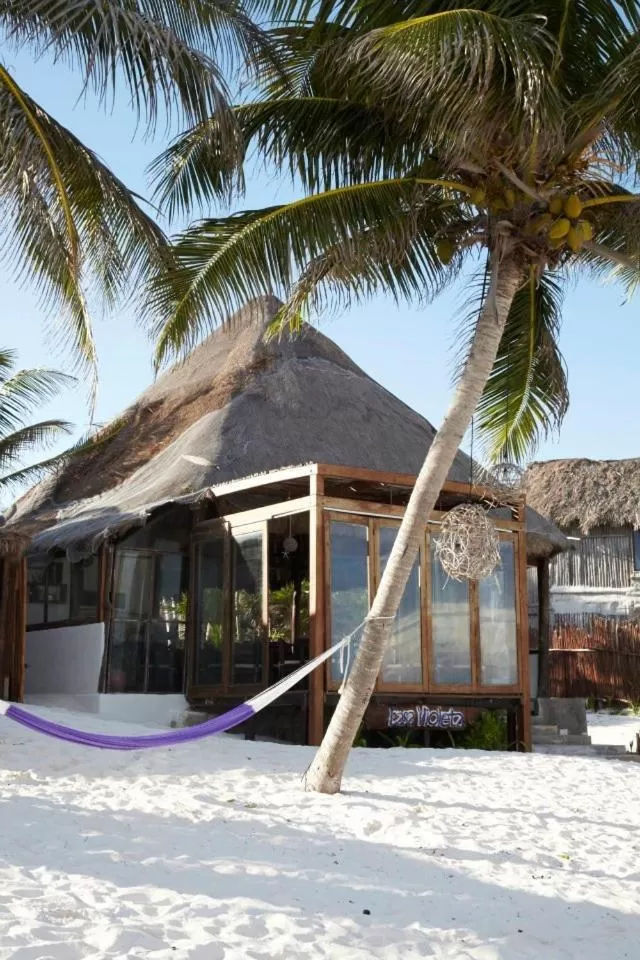 Facade/entrance, Property Building in Casa Violeta