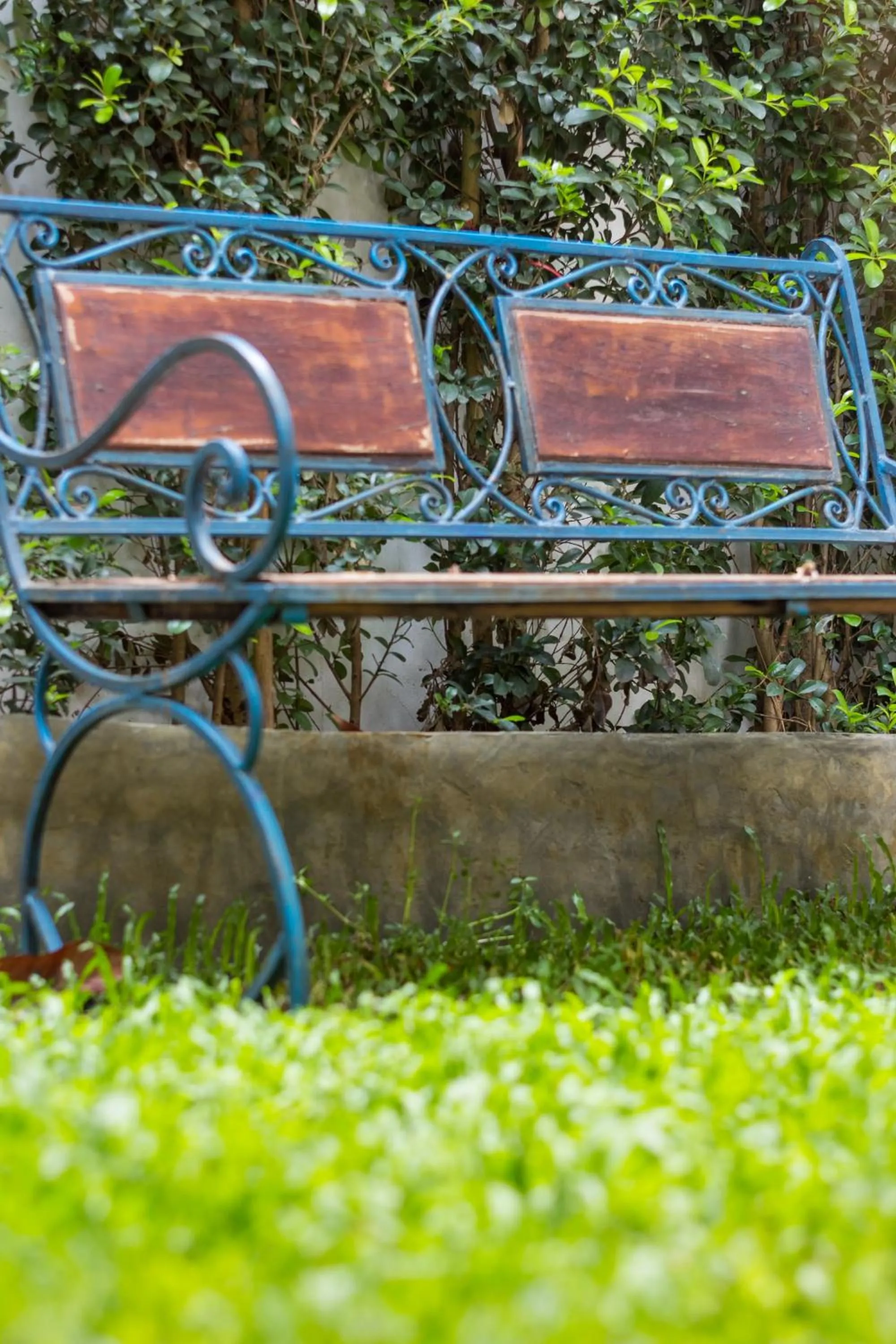 Garden in Changmoi House (Little Village)