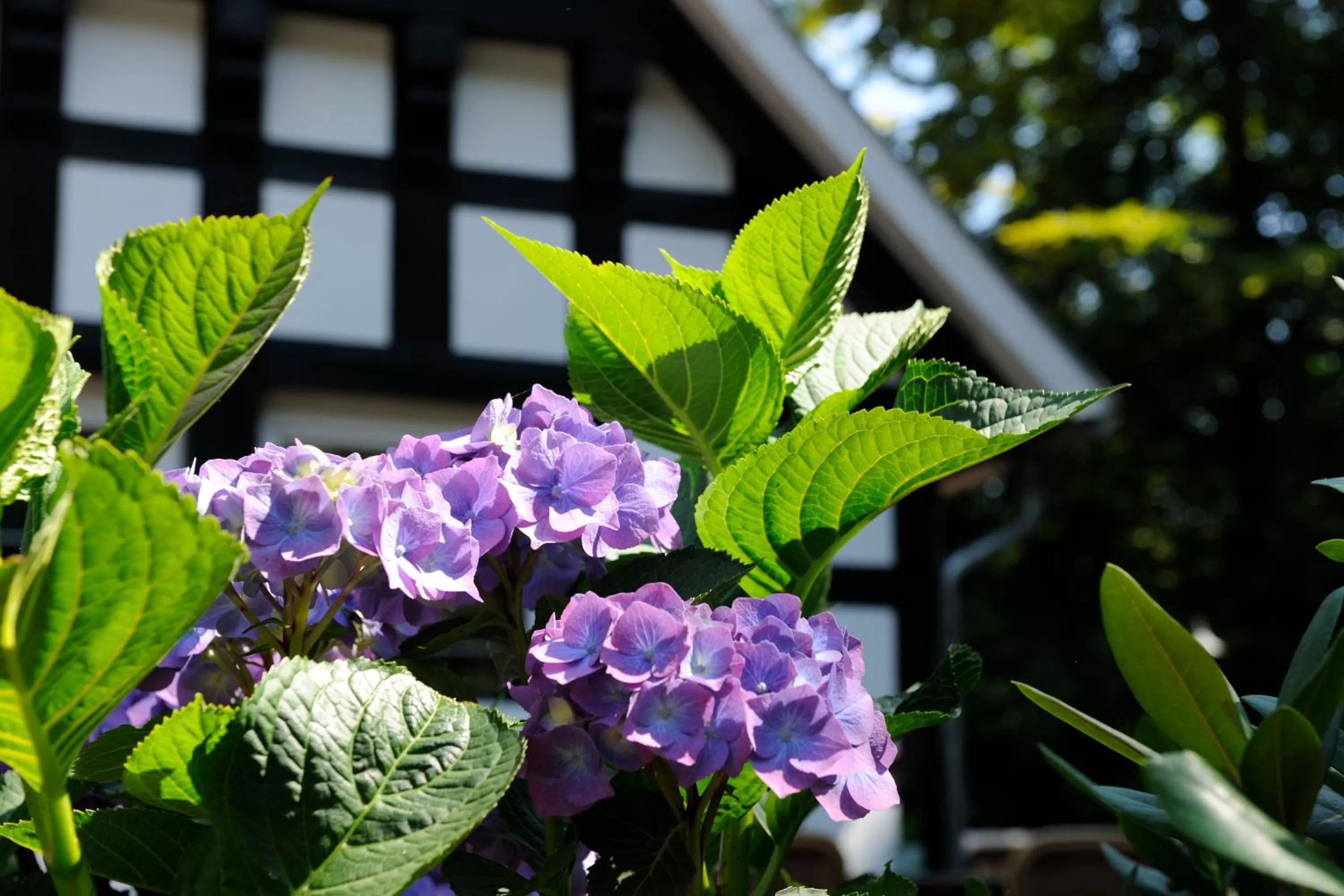 Spring in VILA VITA Burghotel Dinklage