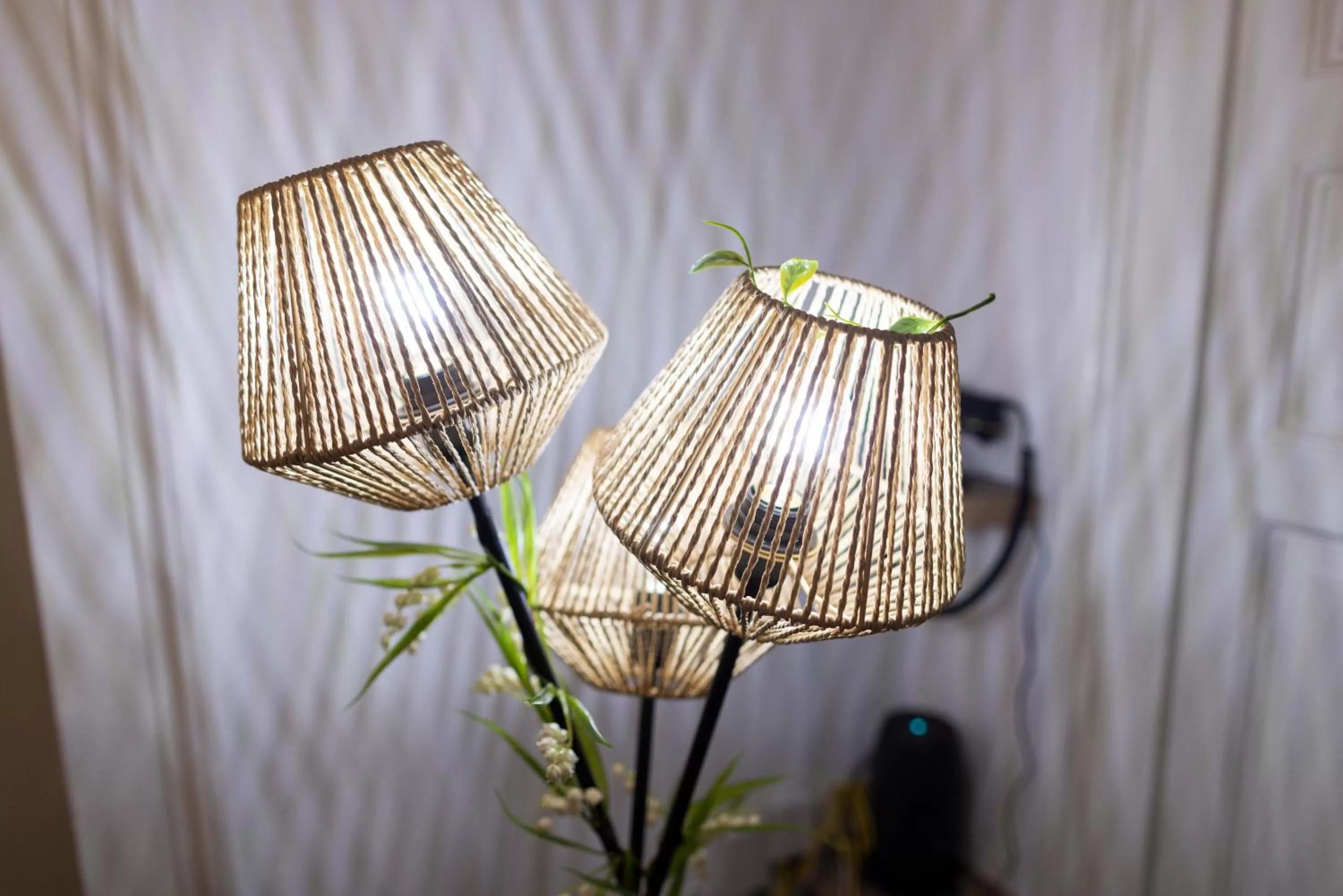 Restaurant/places to eat in B&B i MORI