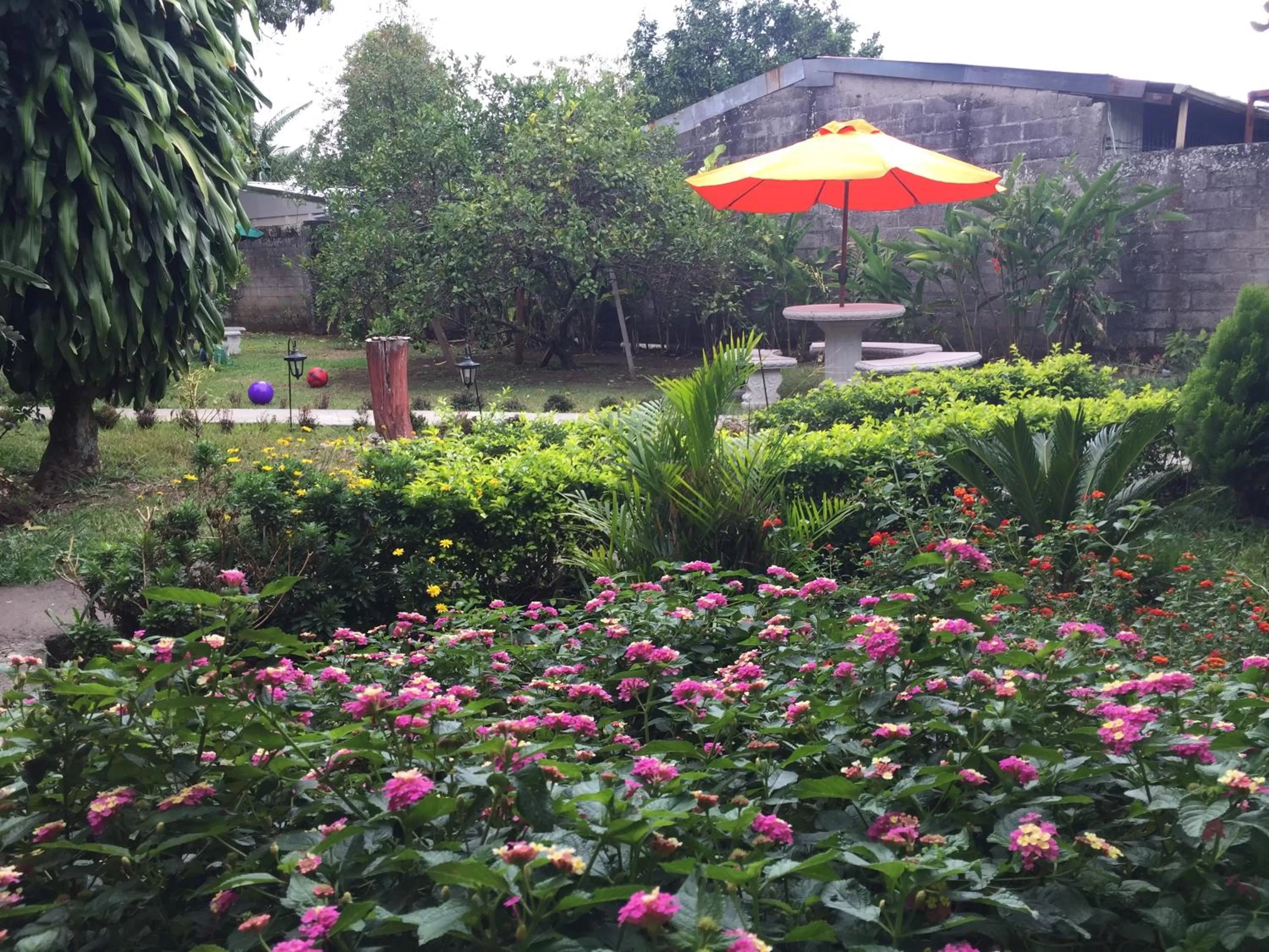 Garden in Hotel Your House