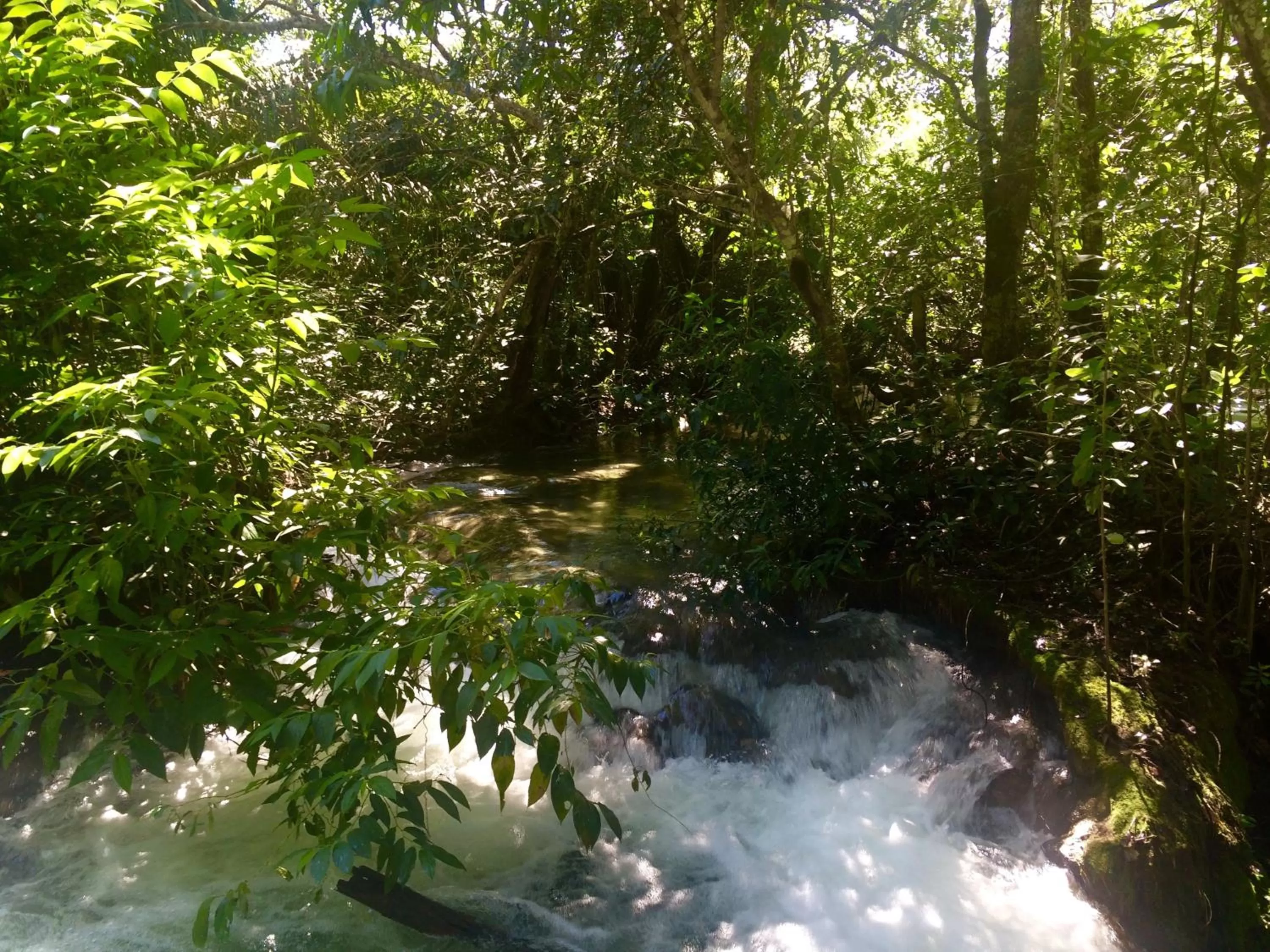 Natural landscape in Hotel Santa Esmeralda