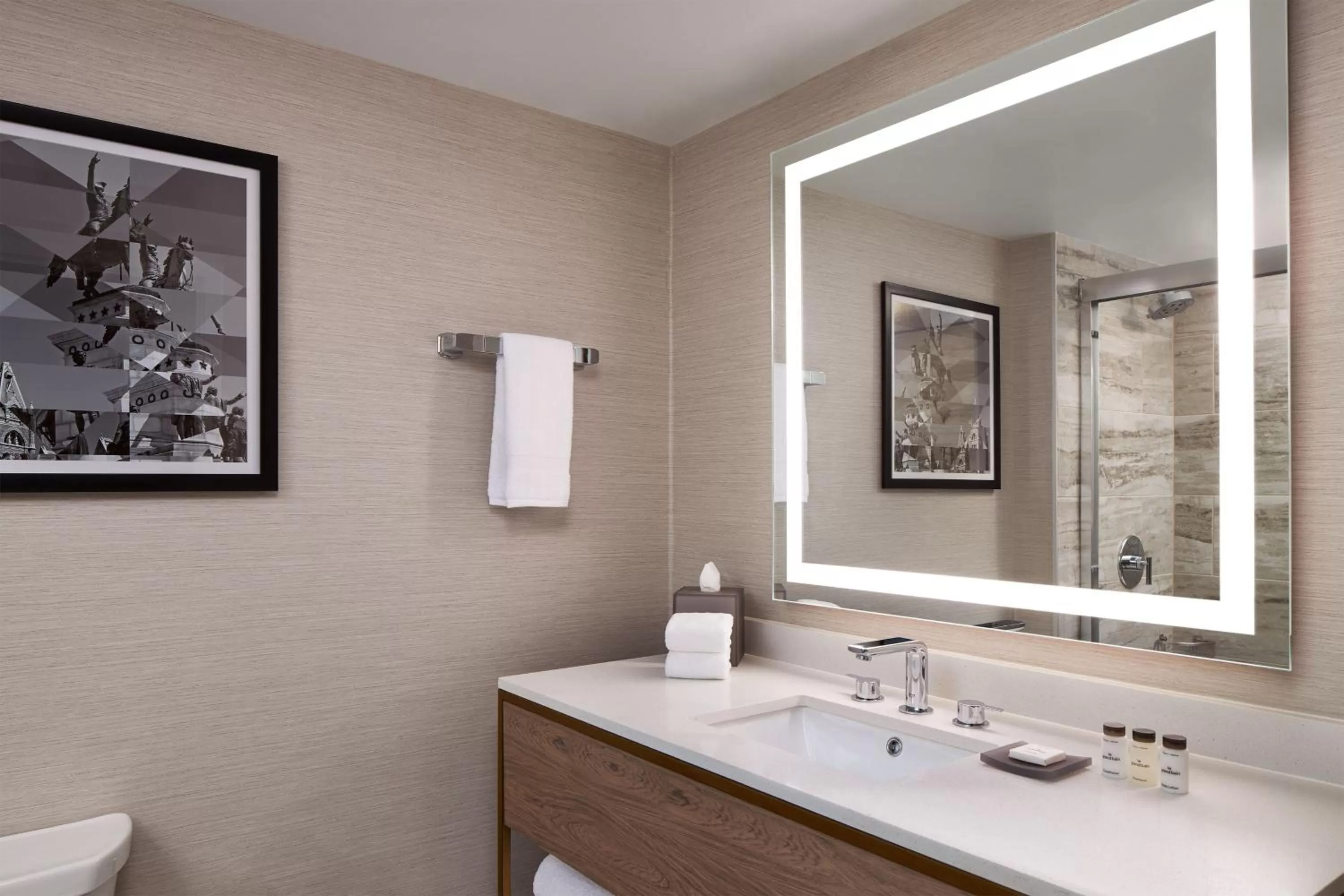 Bathroom in Sheraton Richmond Airport Hotel