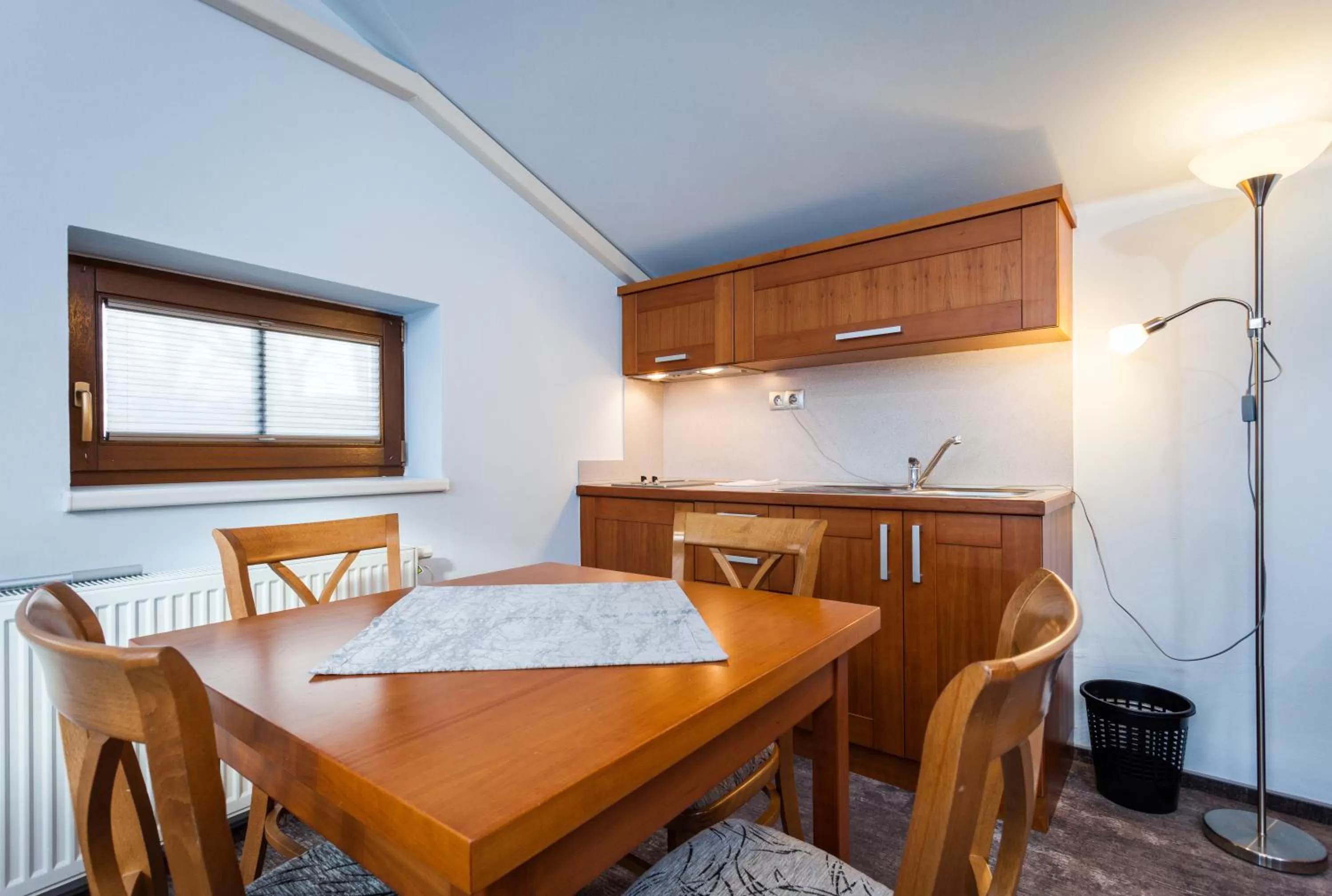 kitchen in Hotel Jelínkova vila